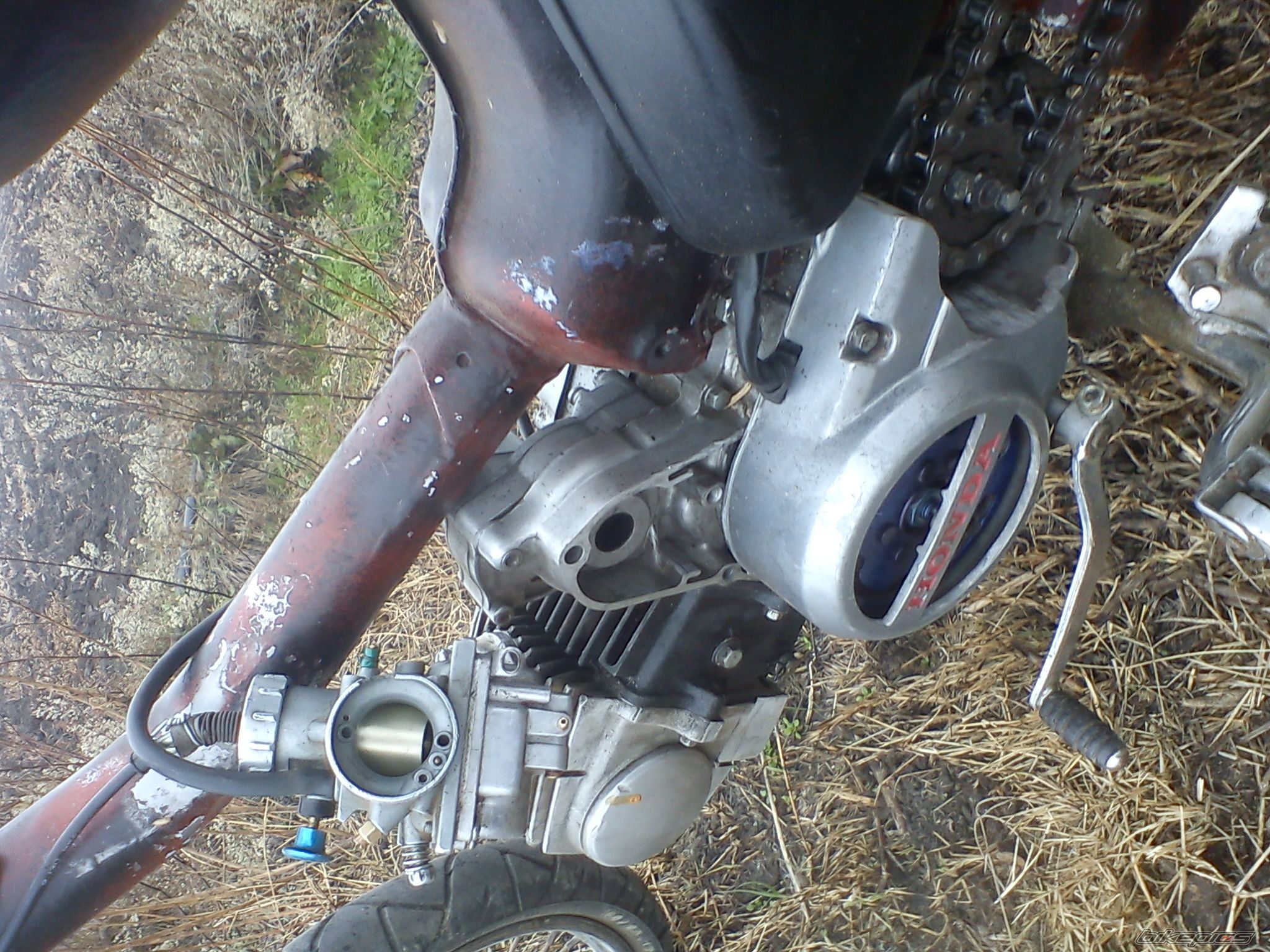 Photo 2360673
