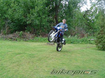 Photo 236069
