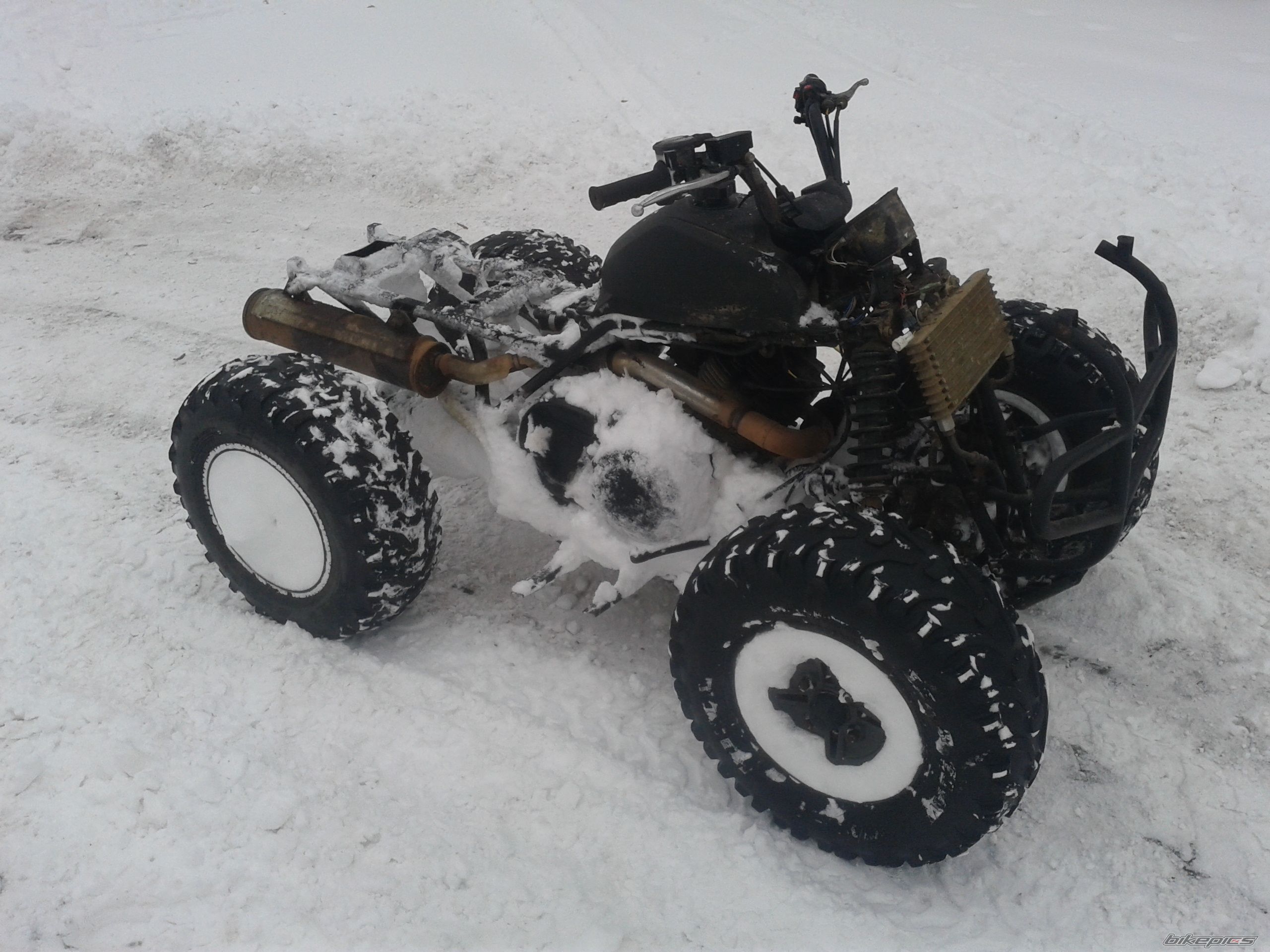 Photo 2360695