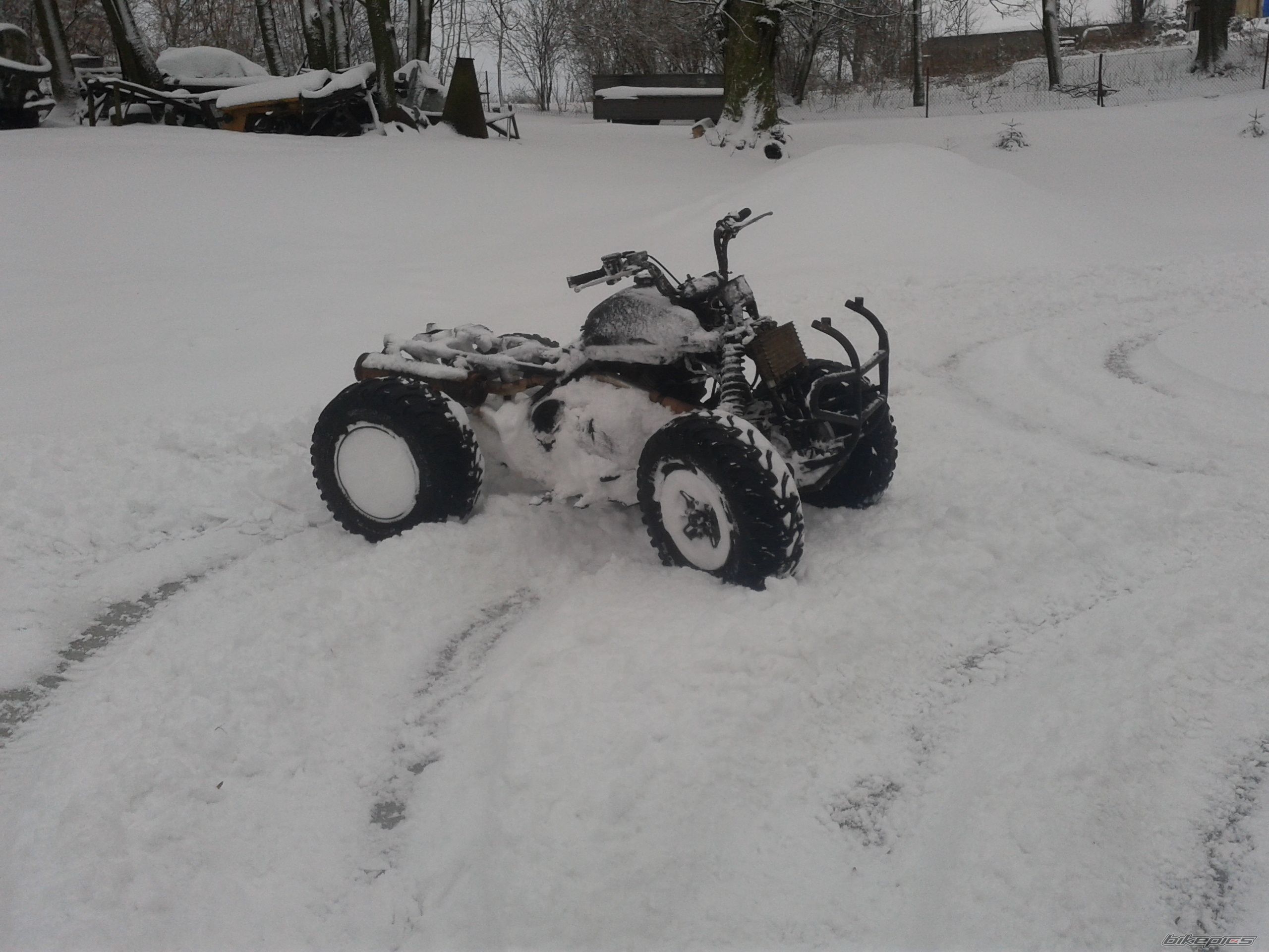 Photo 2360696