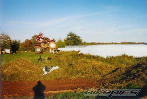 Photo 236084