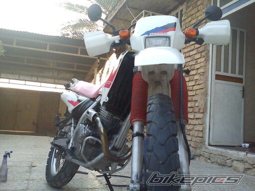 Photo 2361037