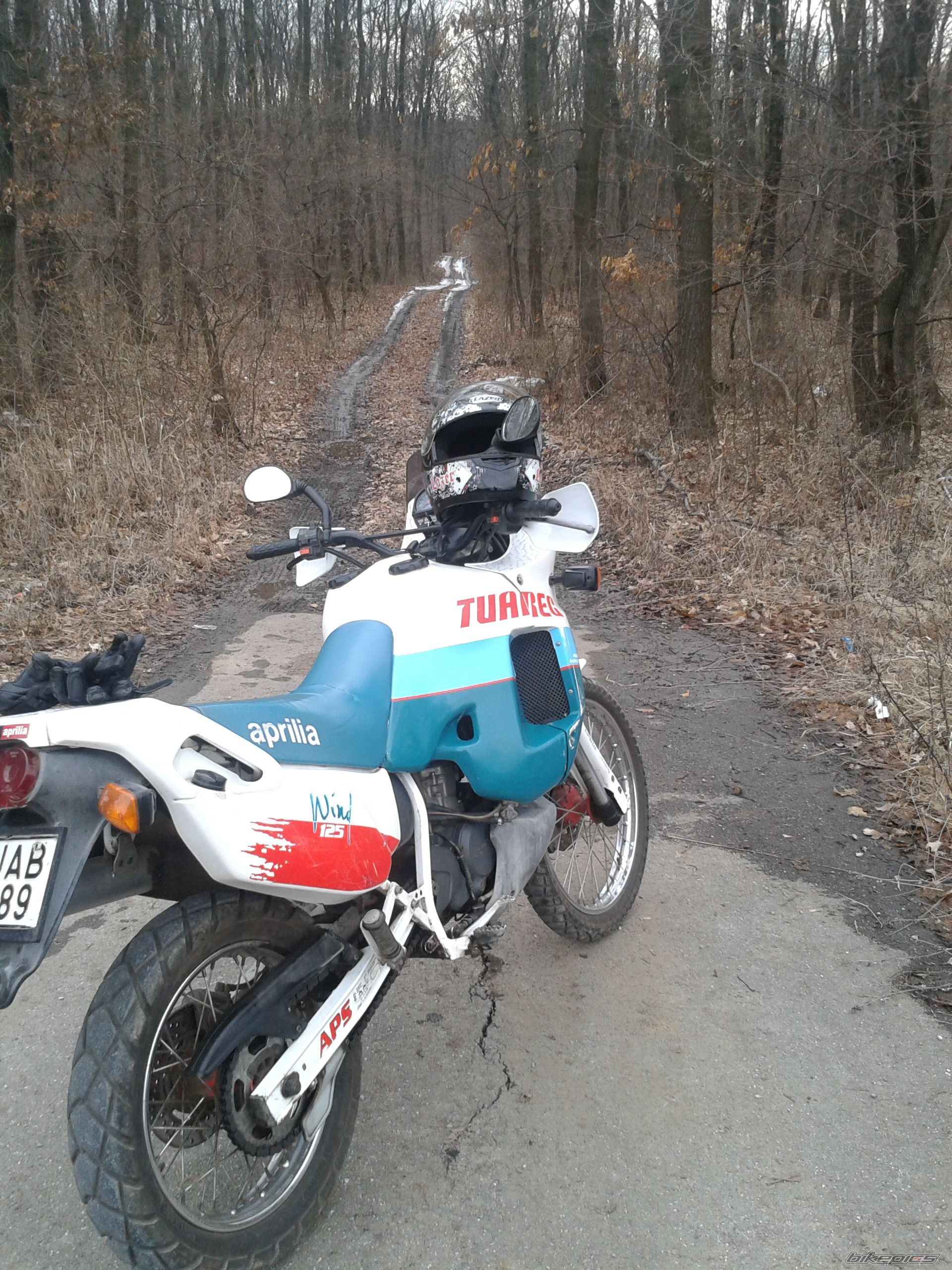 Photo 2361055