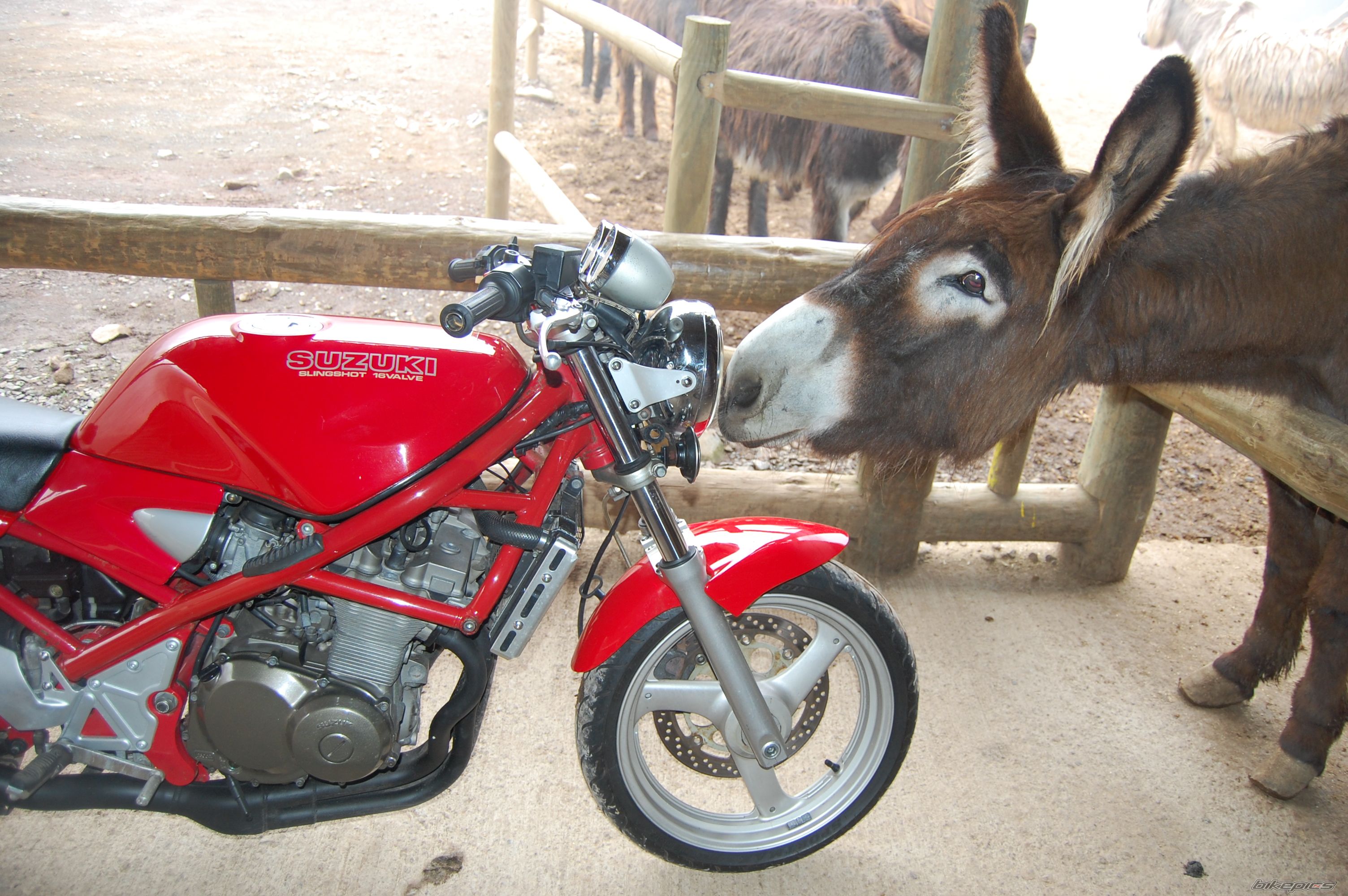 Bike Photo 2361238