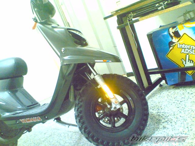 Photo 2361278