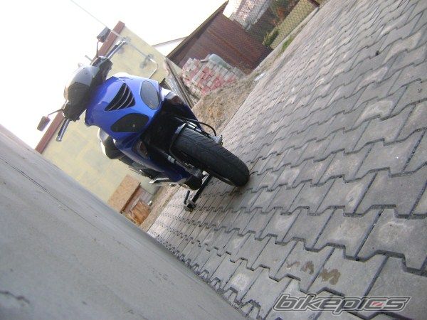 Photo 2361403