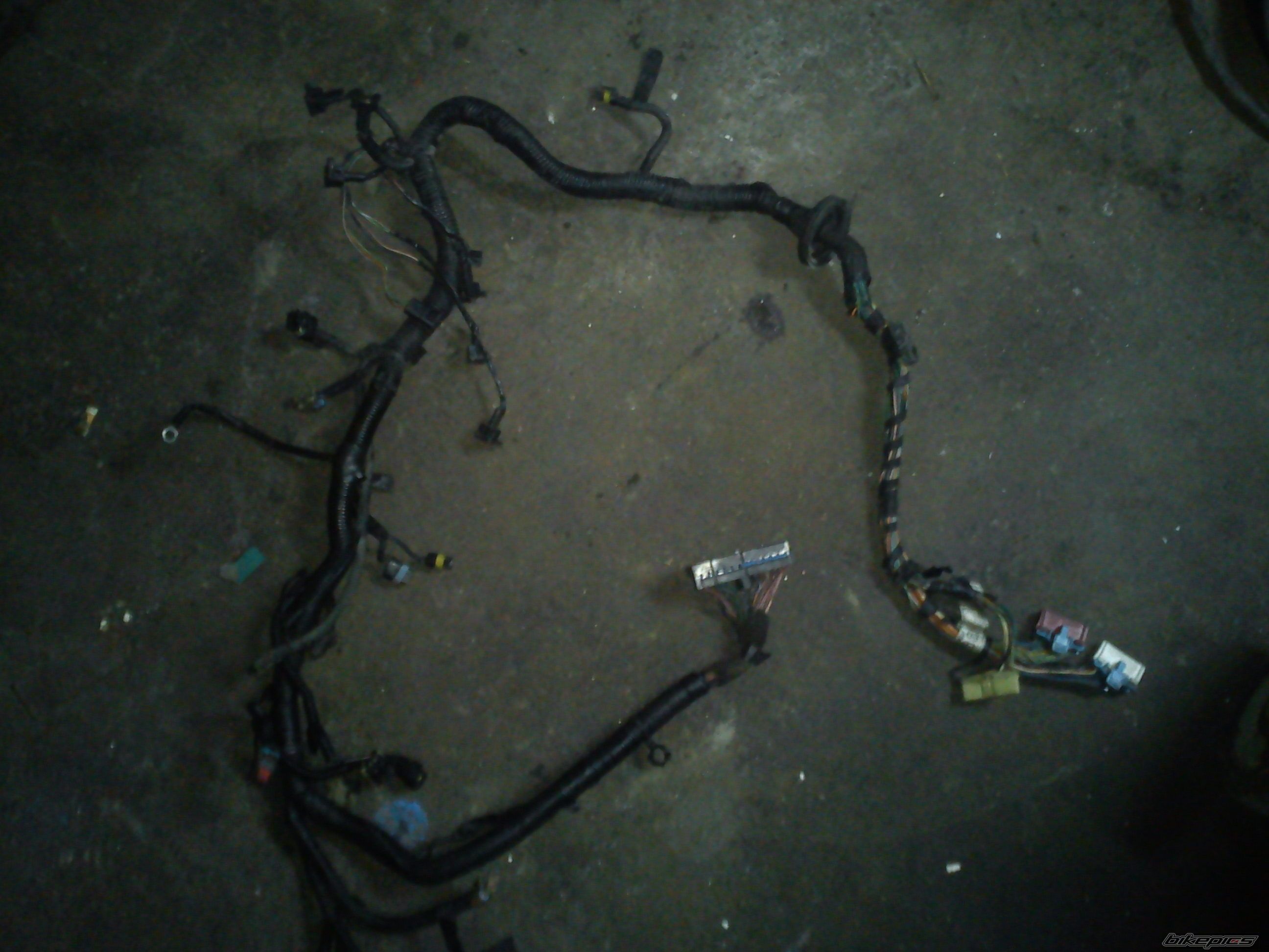 Photo 2361517