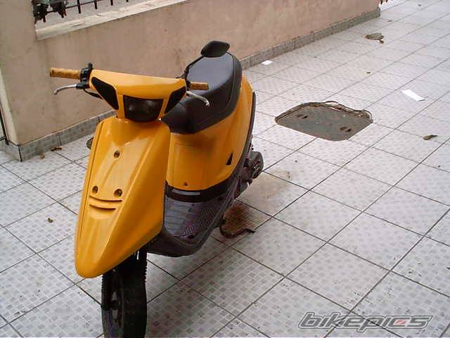 Photo 236152