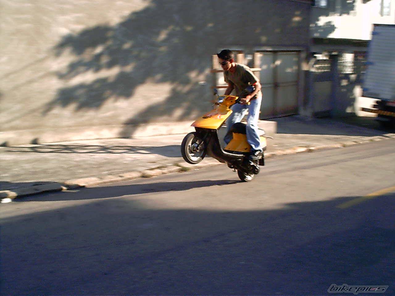 Photo 236157