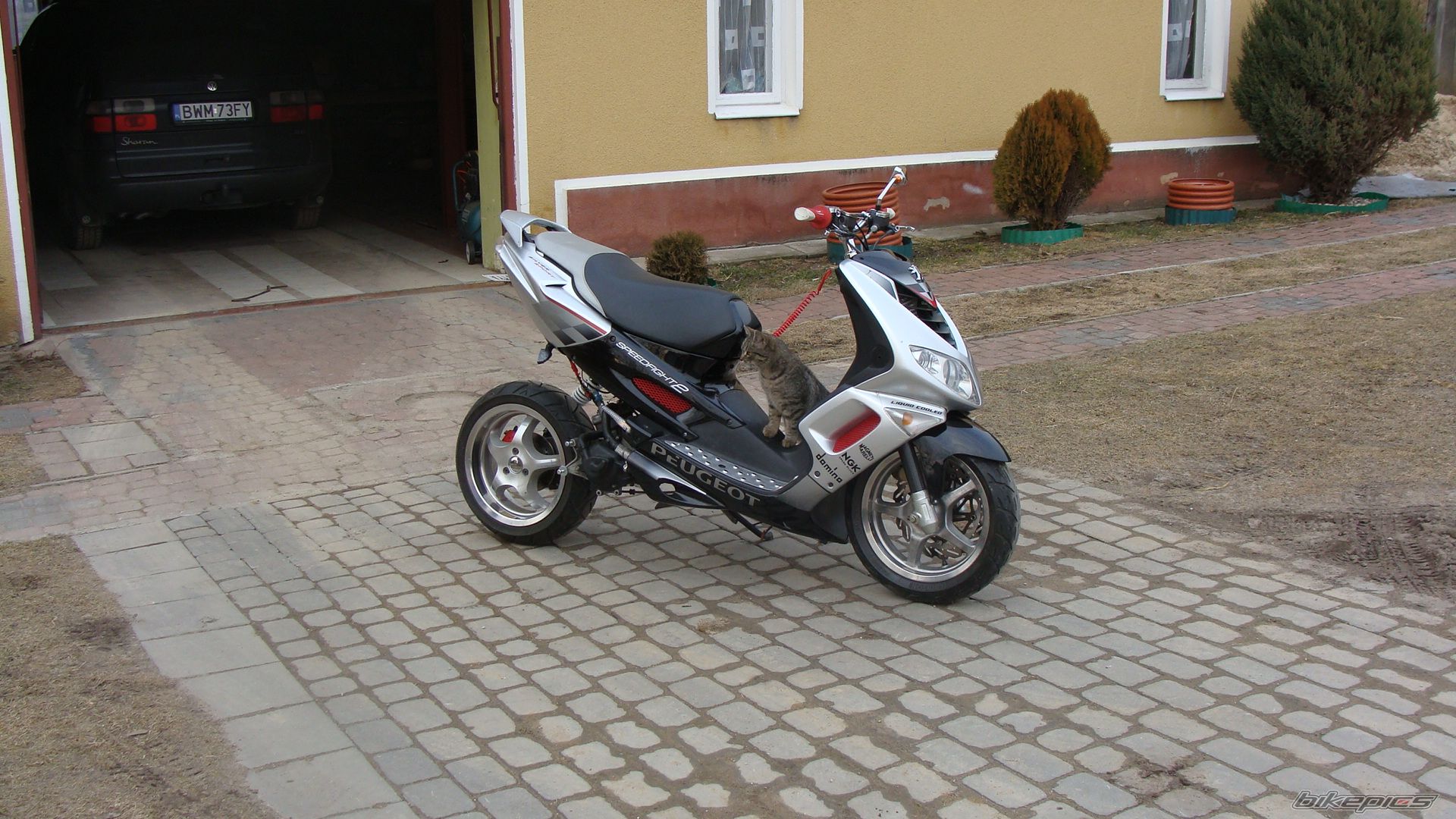 Photo 2361739