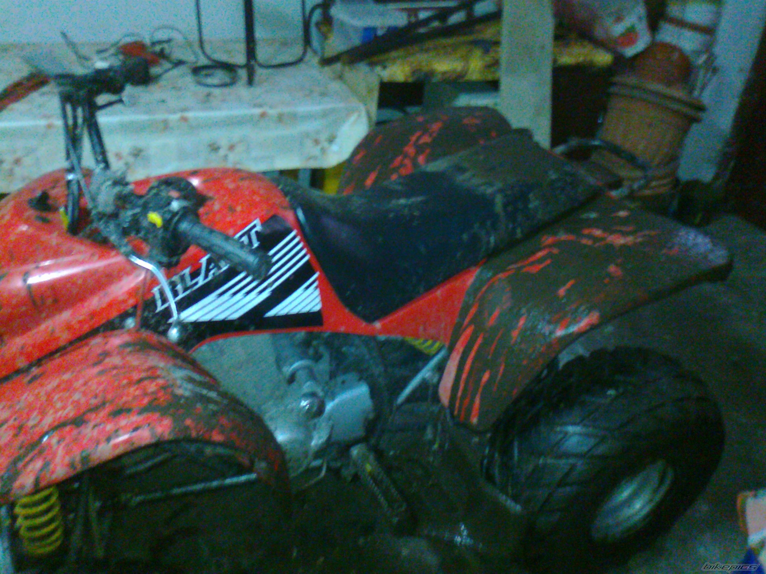 Photo 2362376
