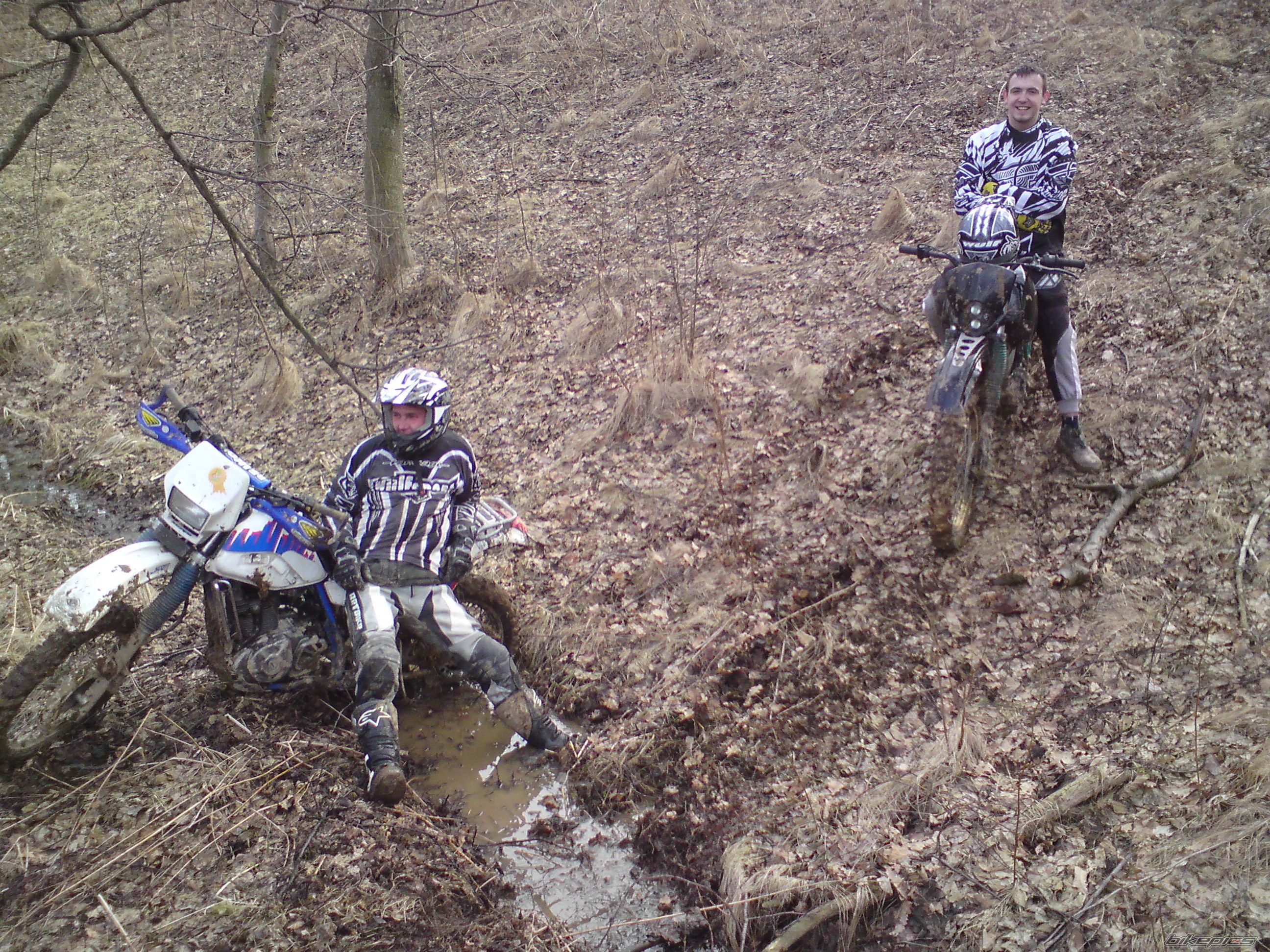 Photo 2362399