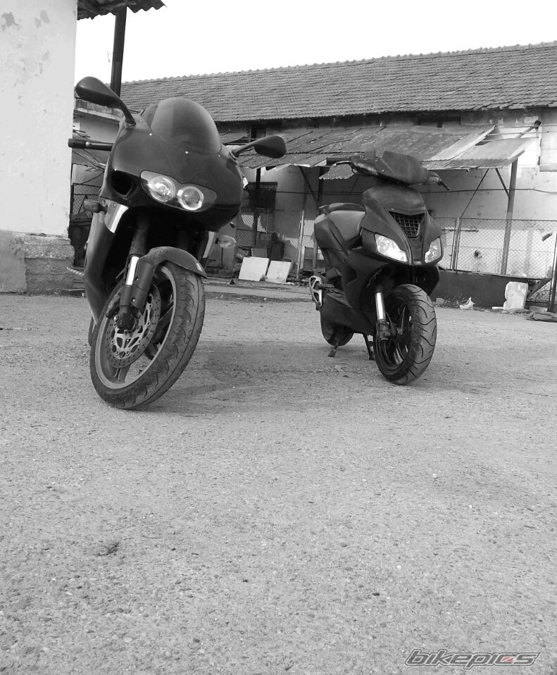 Photo 2362402