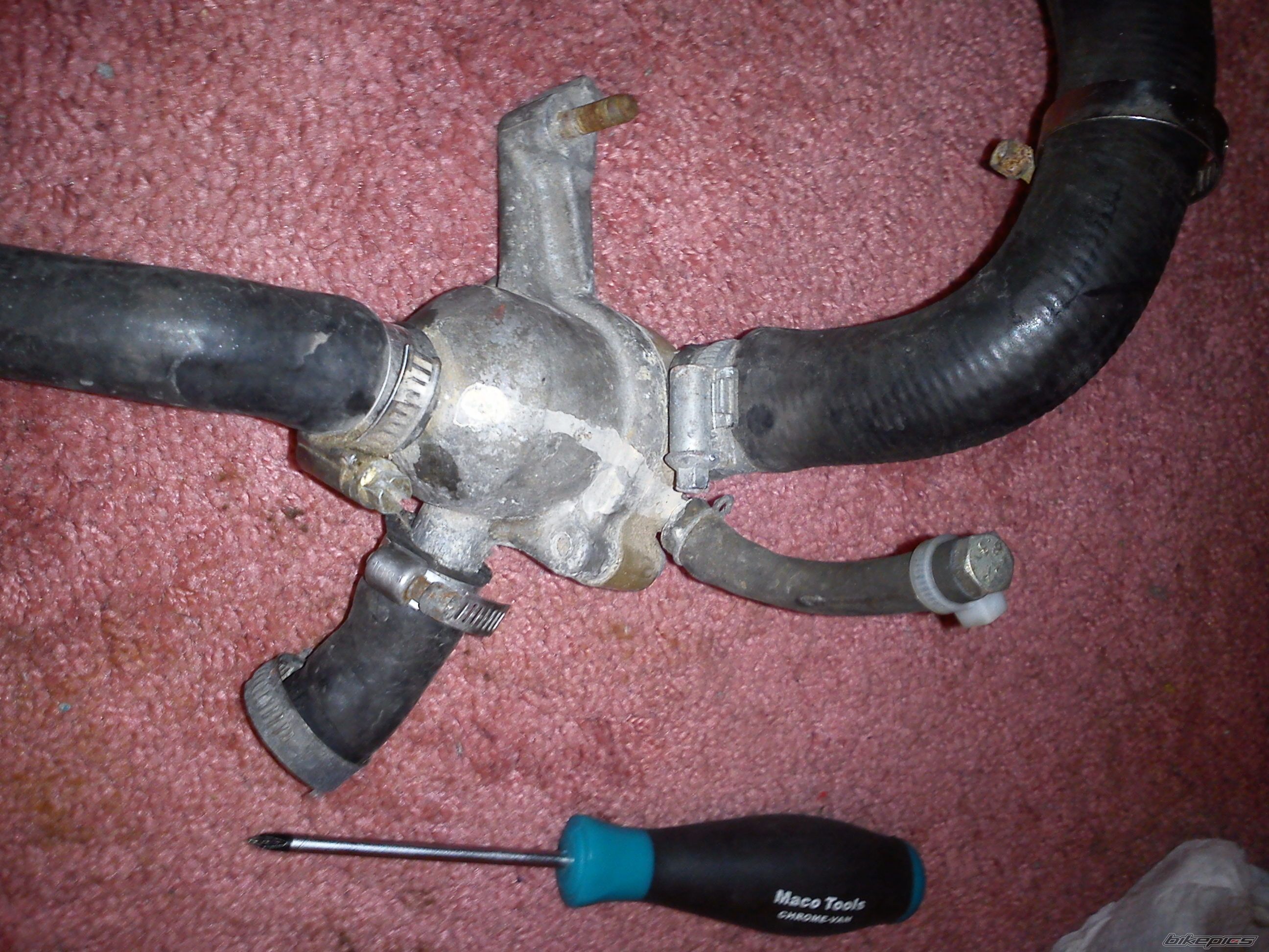 Photo 2362451