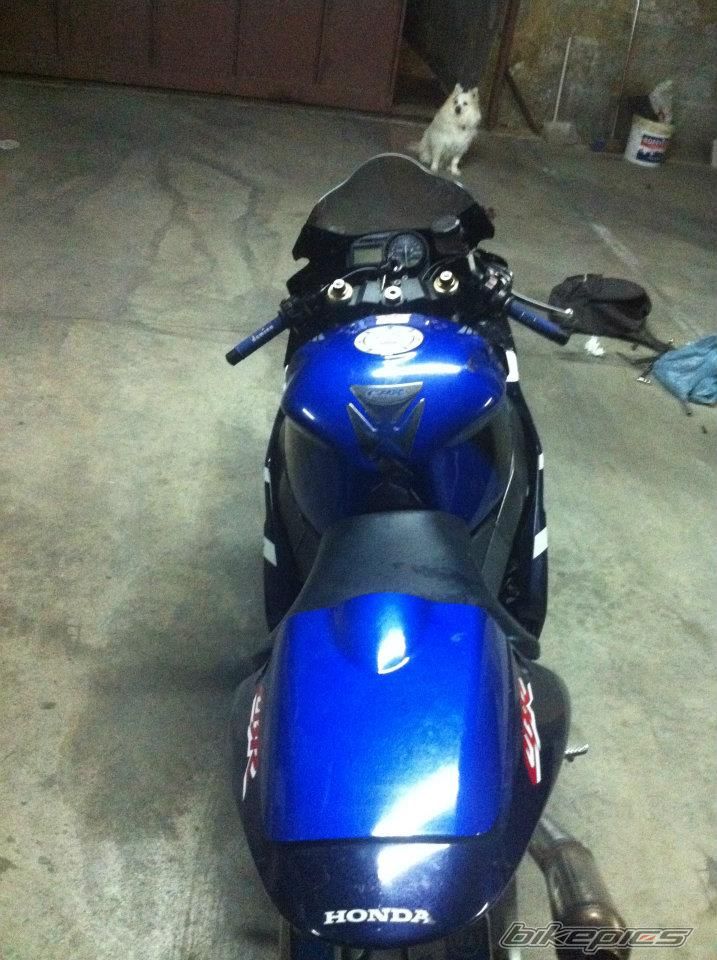 Photo 2362556