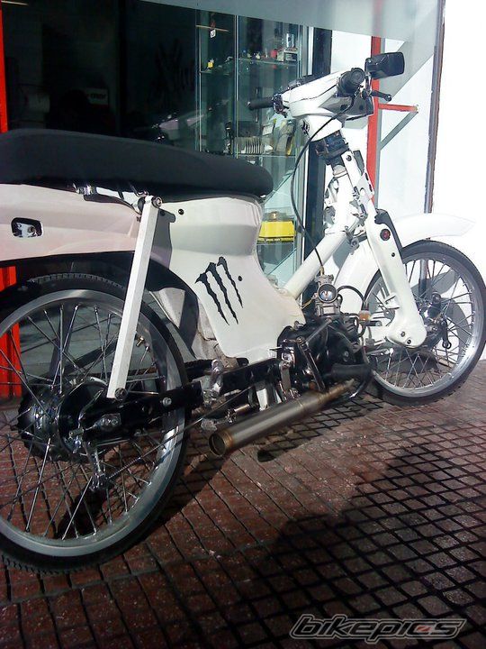 Photo 2362594