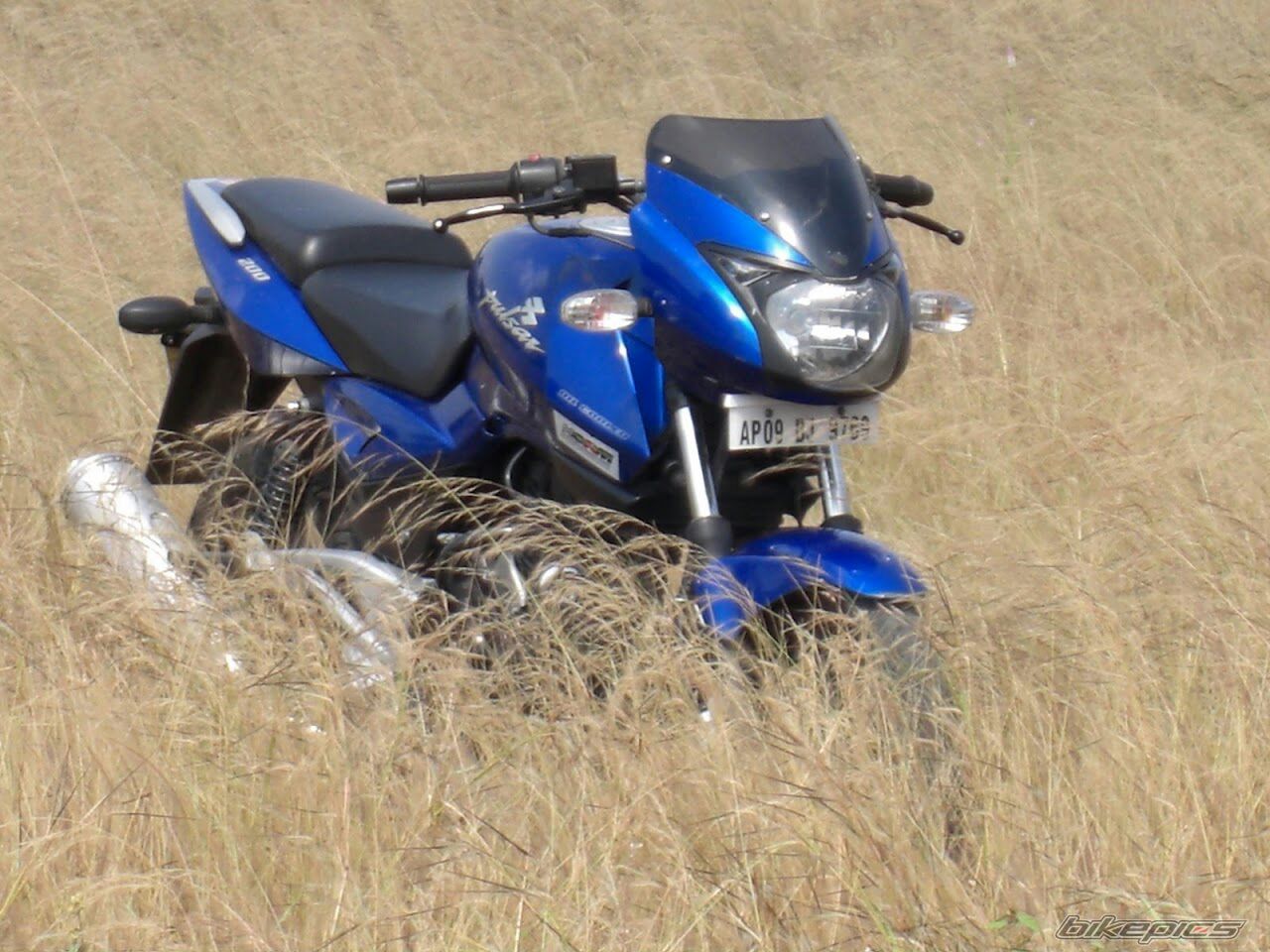 Photo 2362611