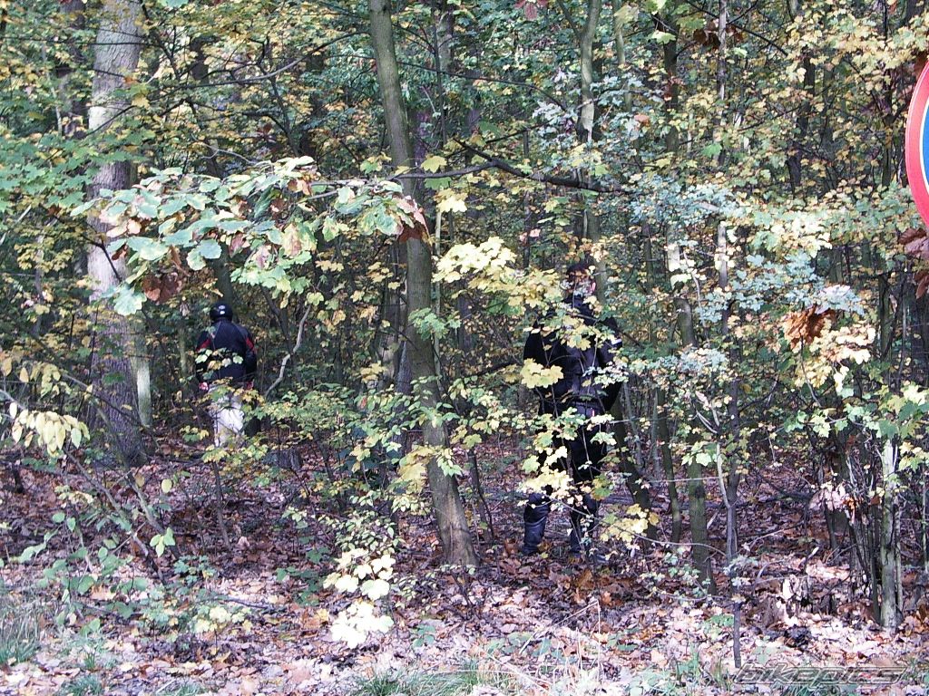 Photo 2363062