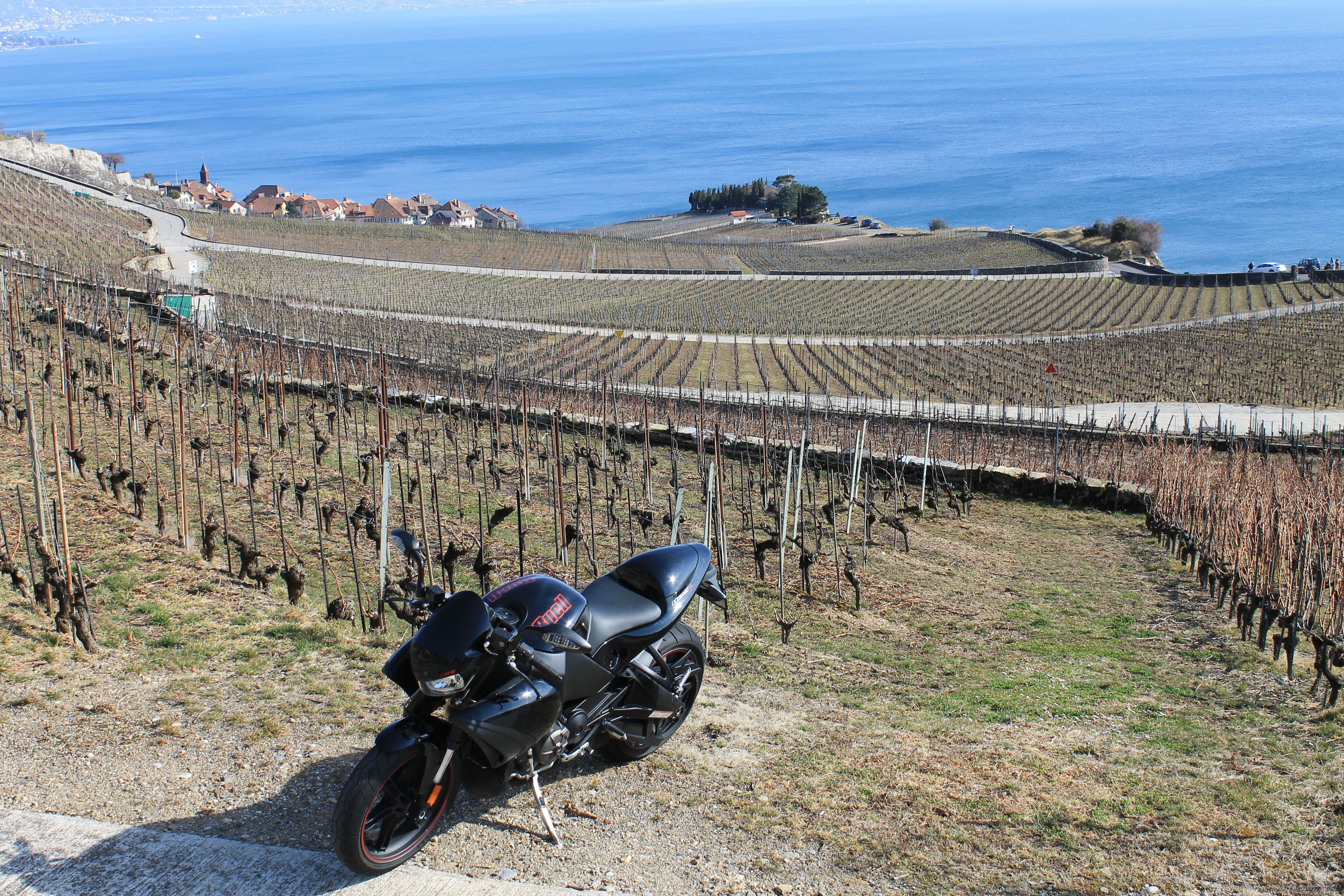 Bike Photo 2363109