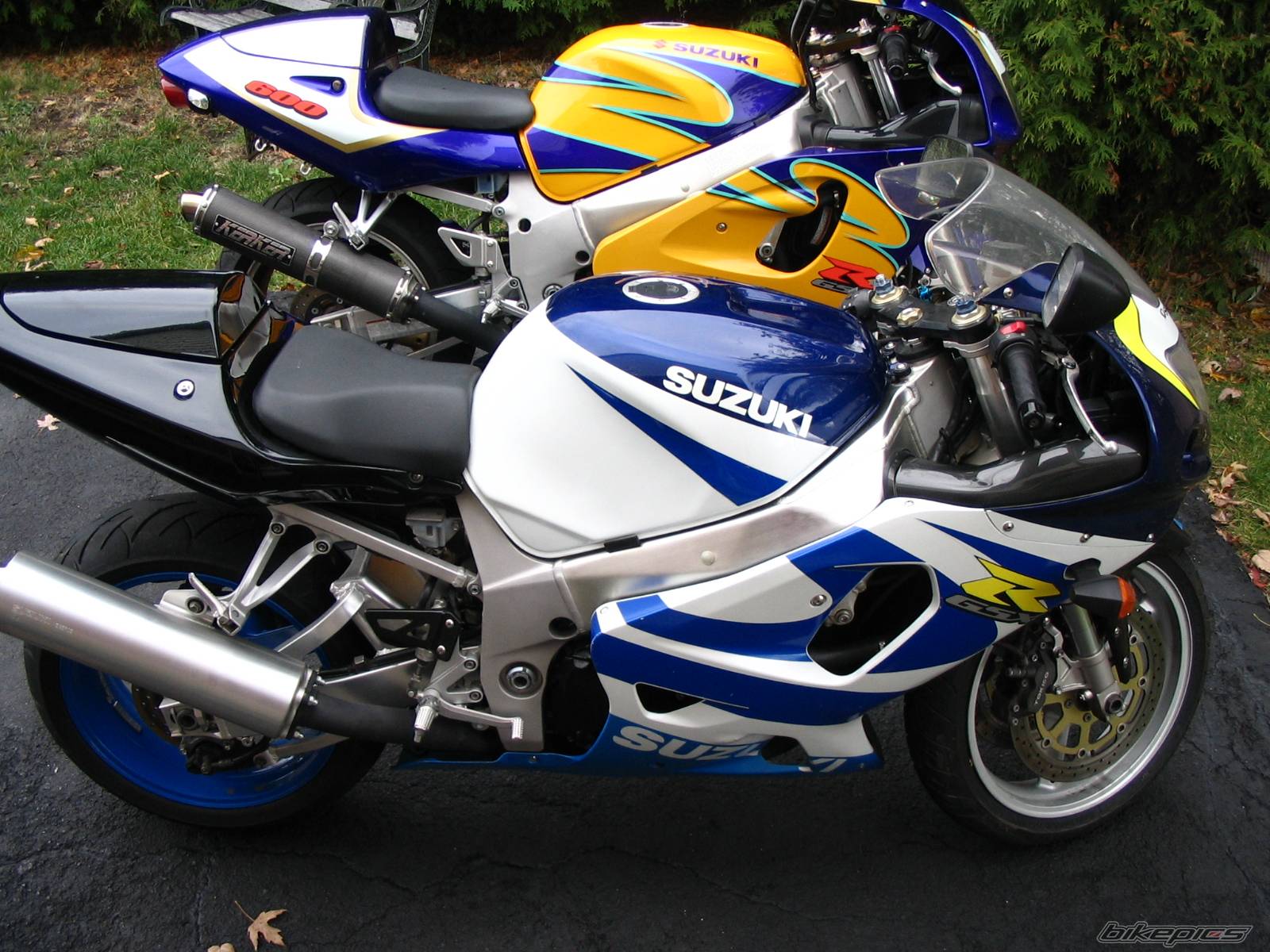 Photo 236319