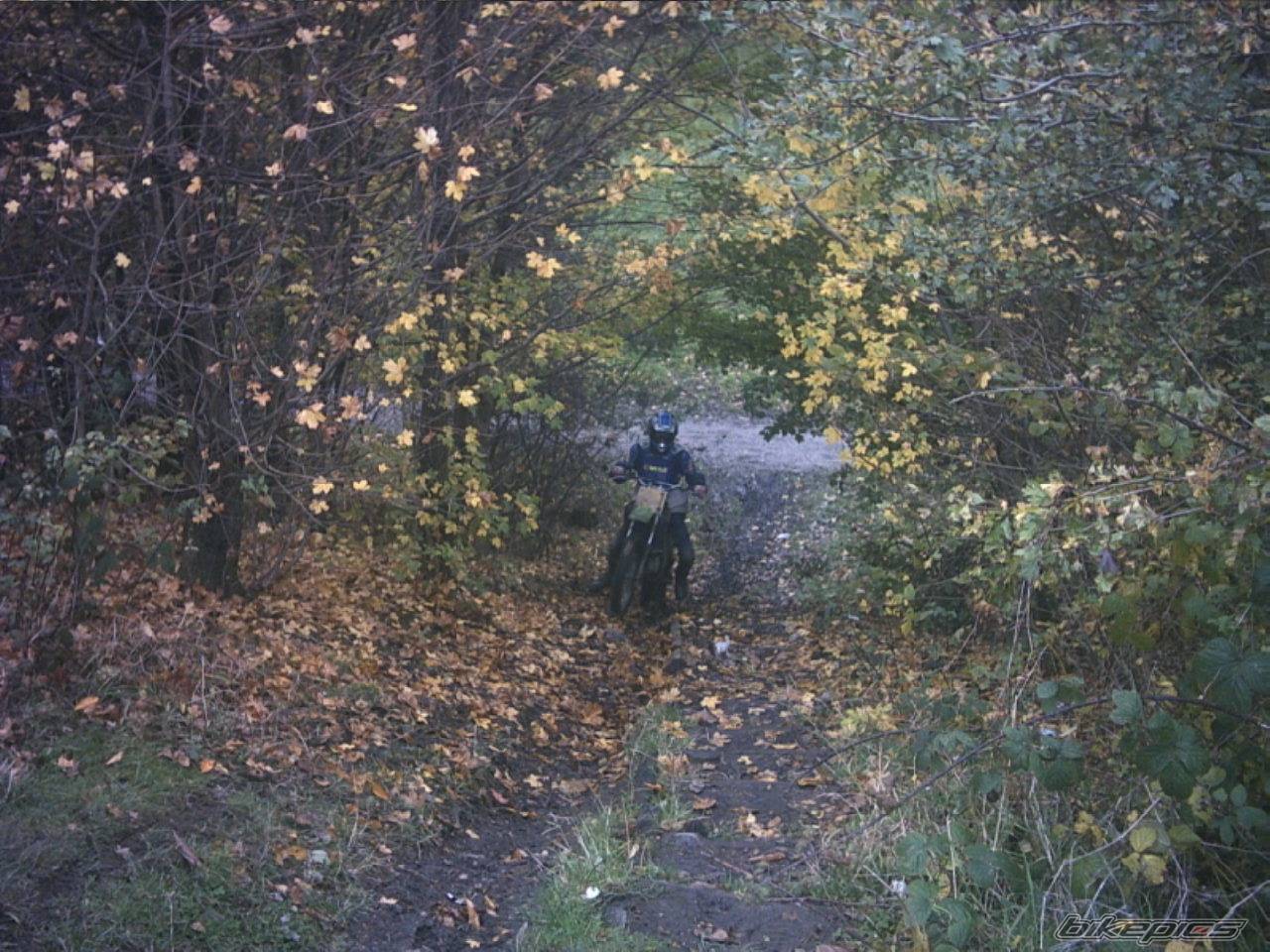 Bike Photo 236327