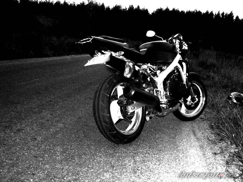 Photo 236337