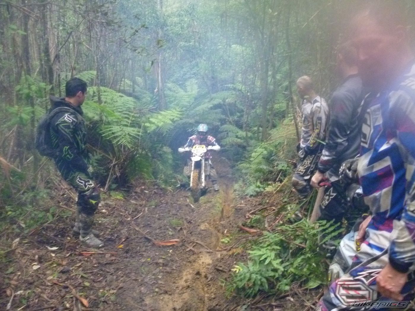Bike Photo 2363409