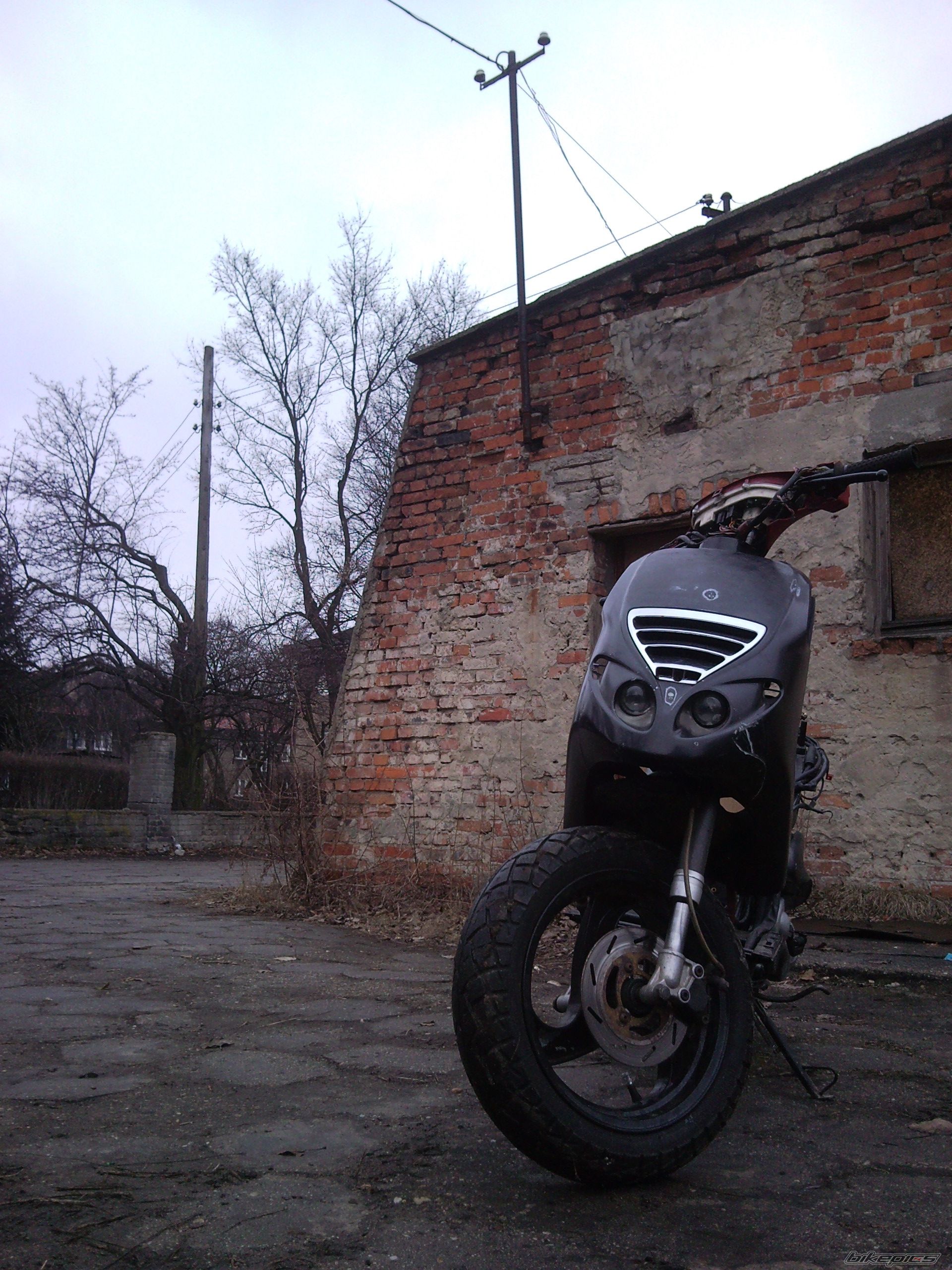 Photo 2363610