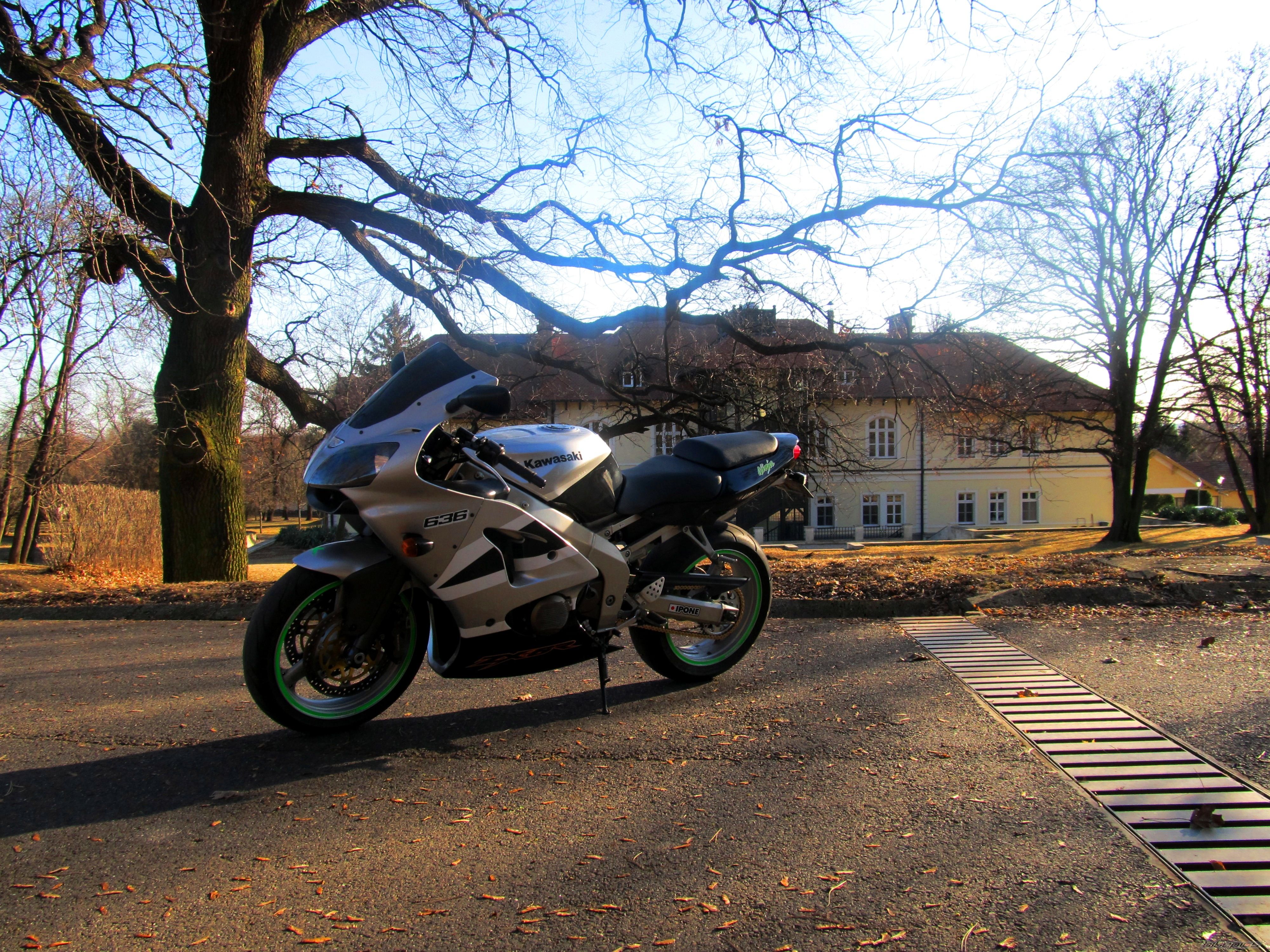 Photo 2363723