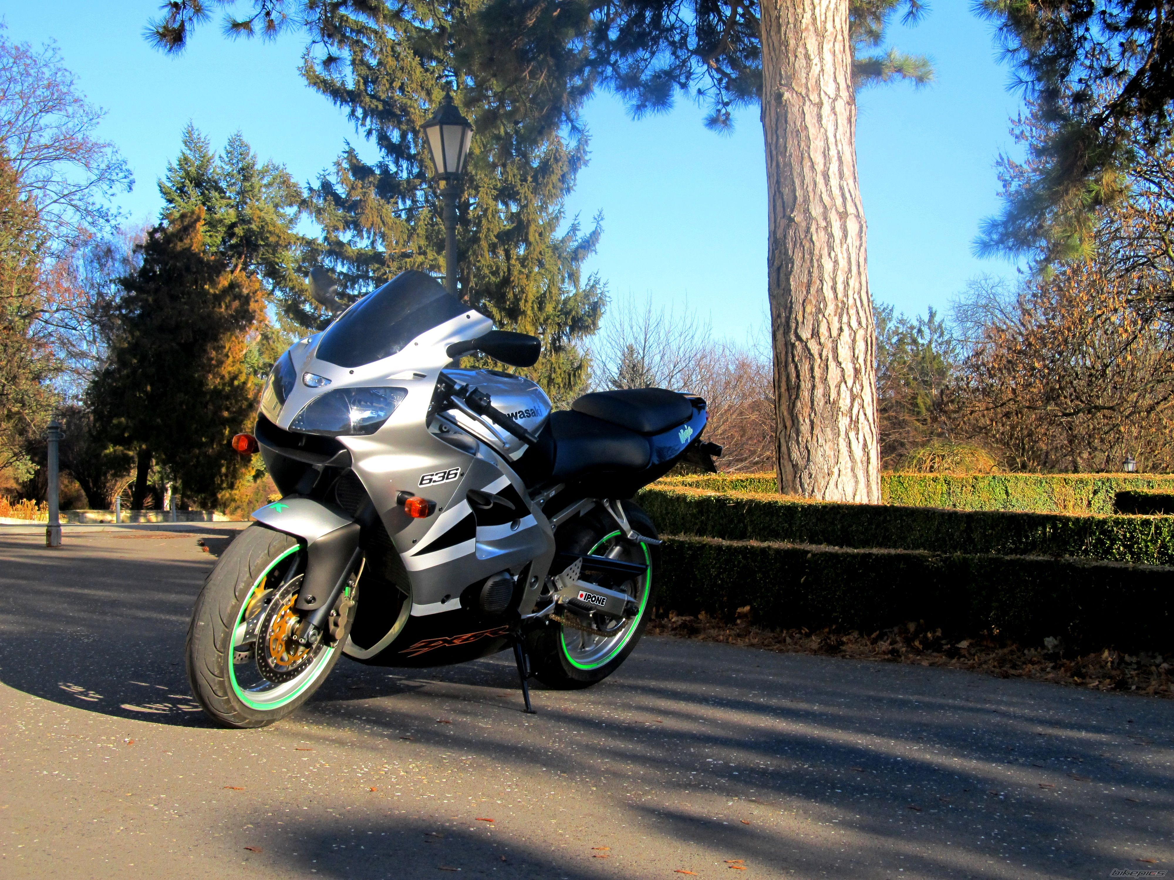 Photo 2363731