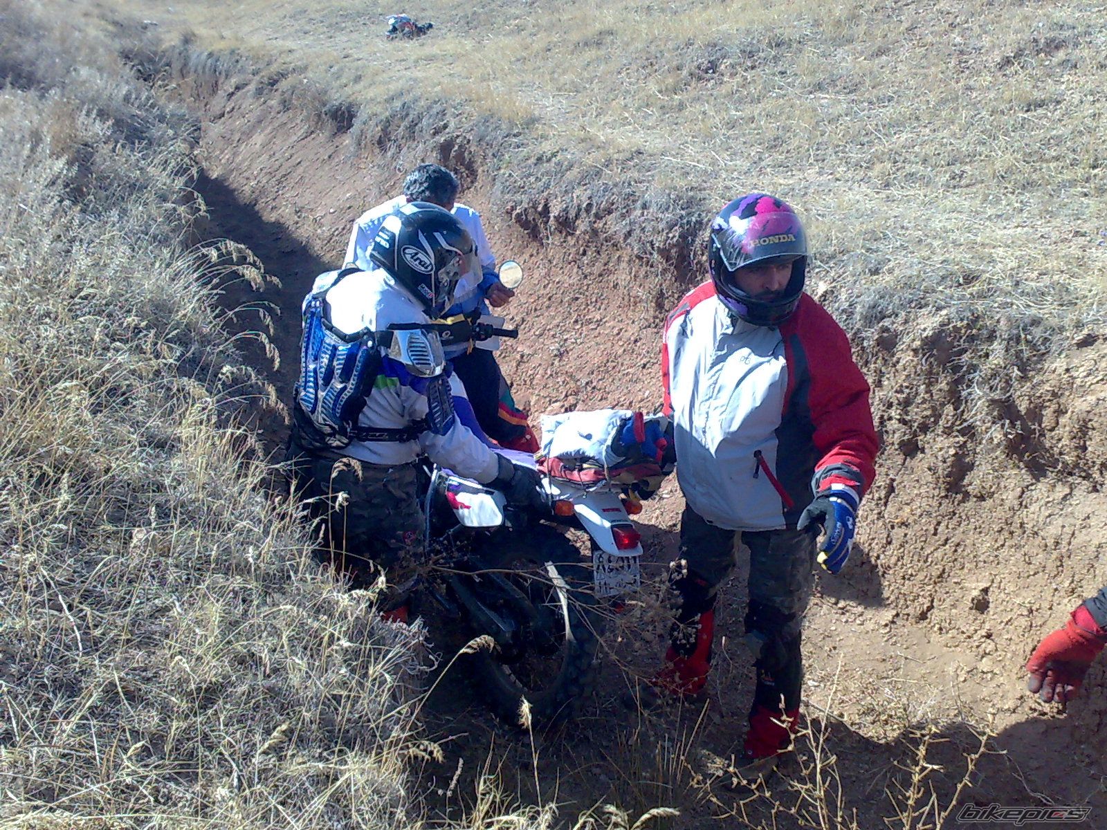 Photo 2363748