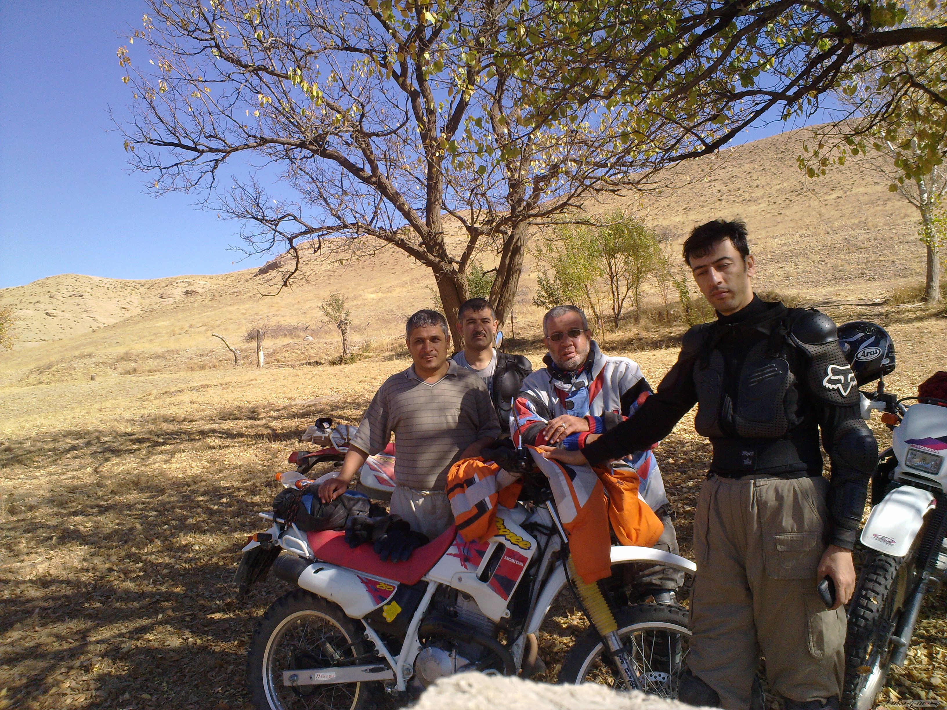 Photo 2363787