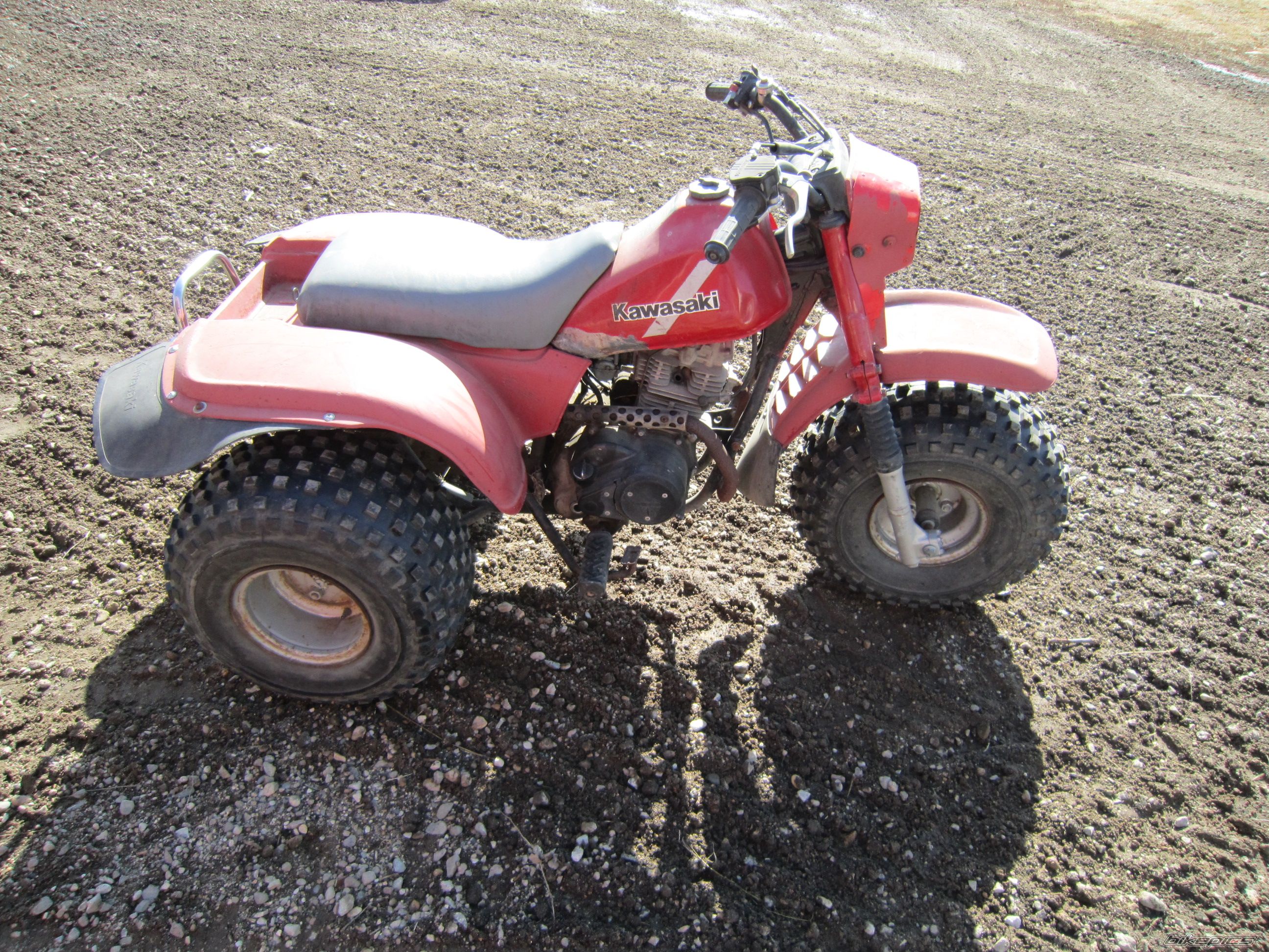 Photo 2364103