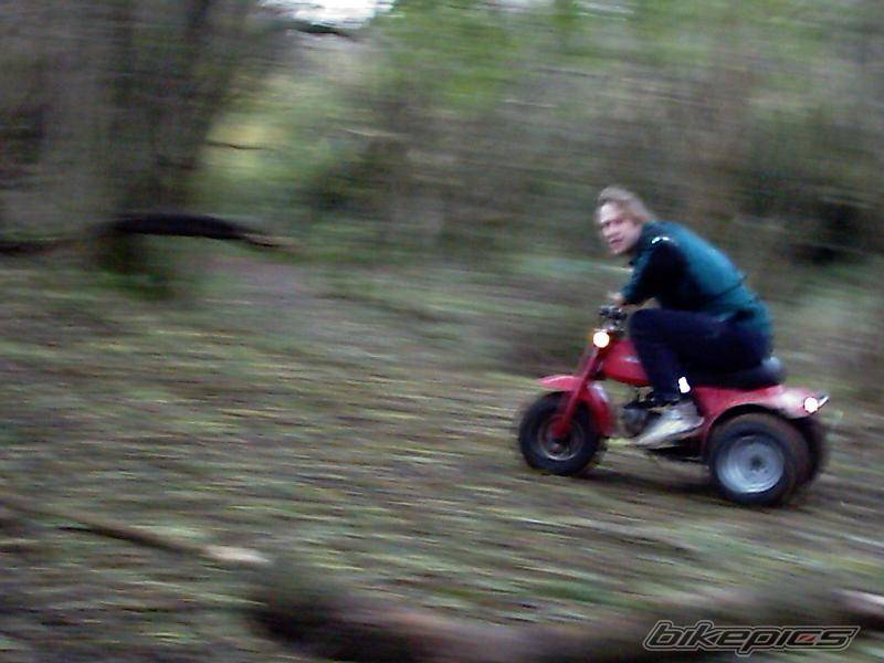 Photo 236412