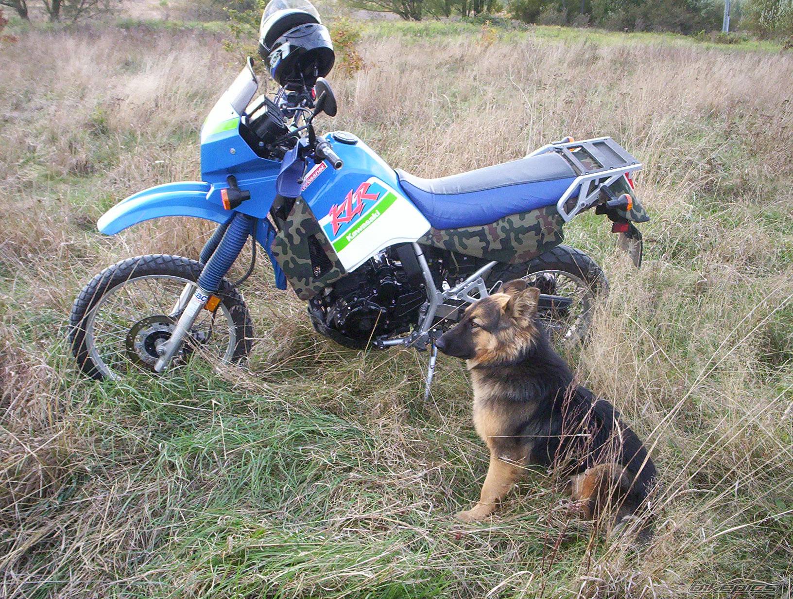 Bike Photo 236416