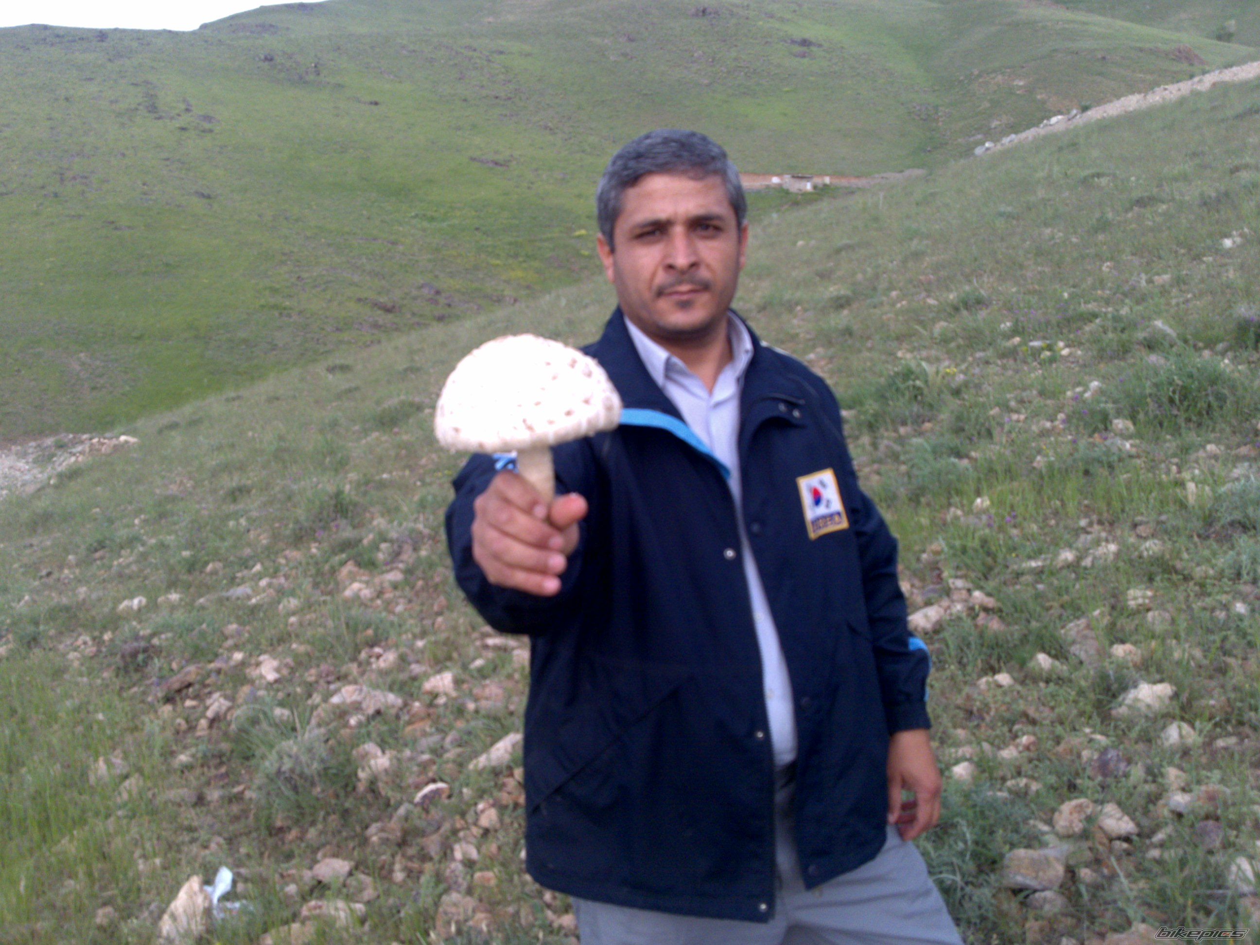 Photo 2364205