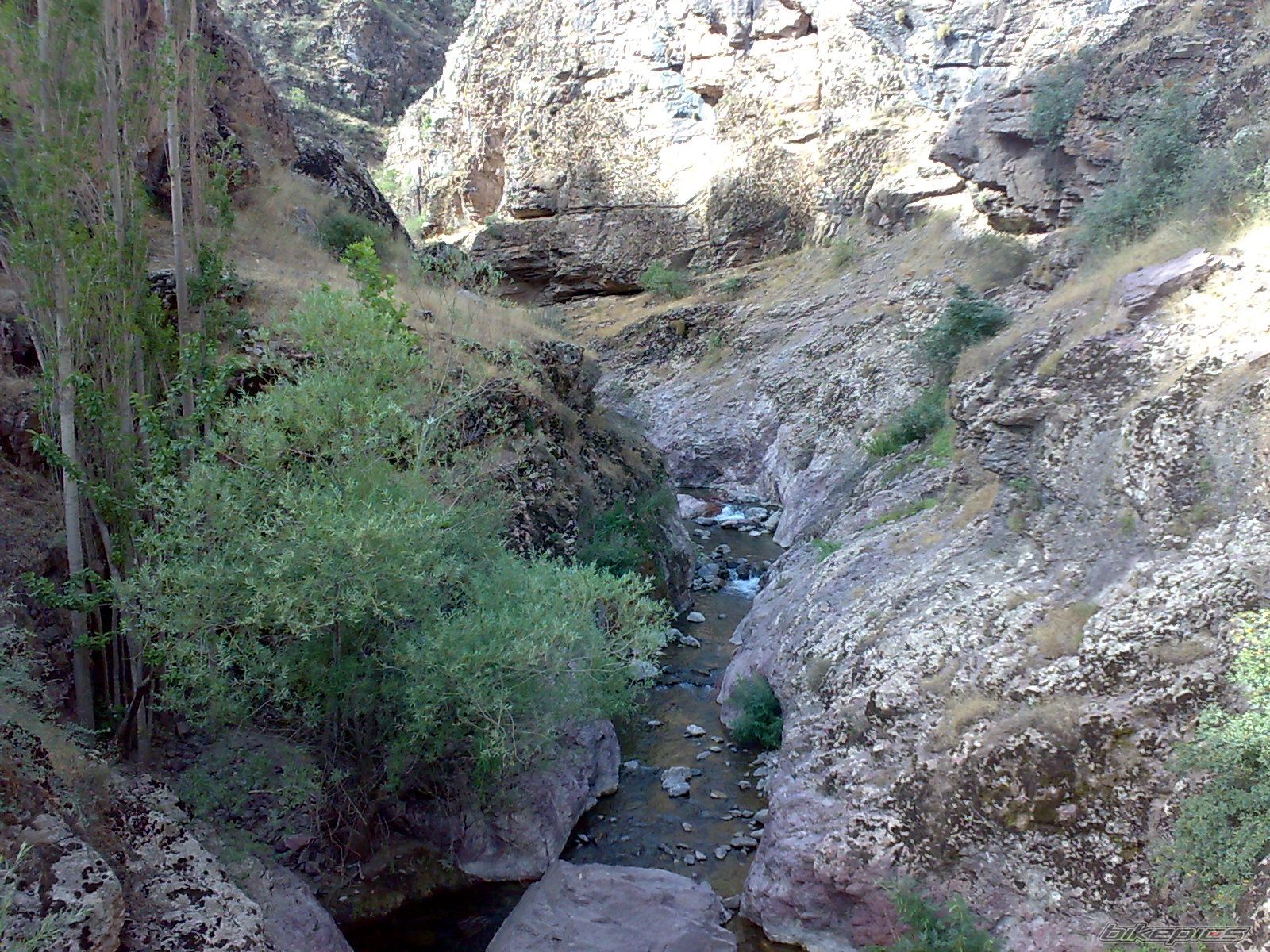 Photo 2364220