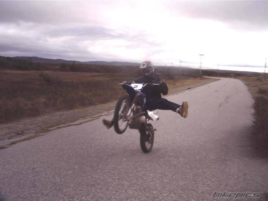 Photo 236426