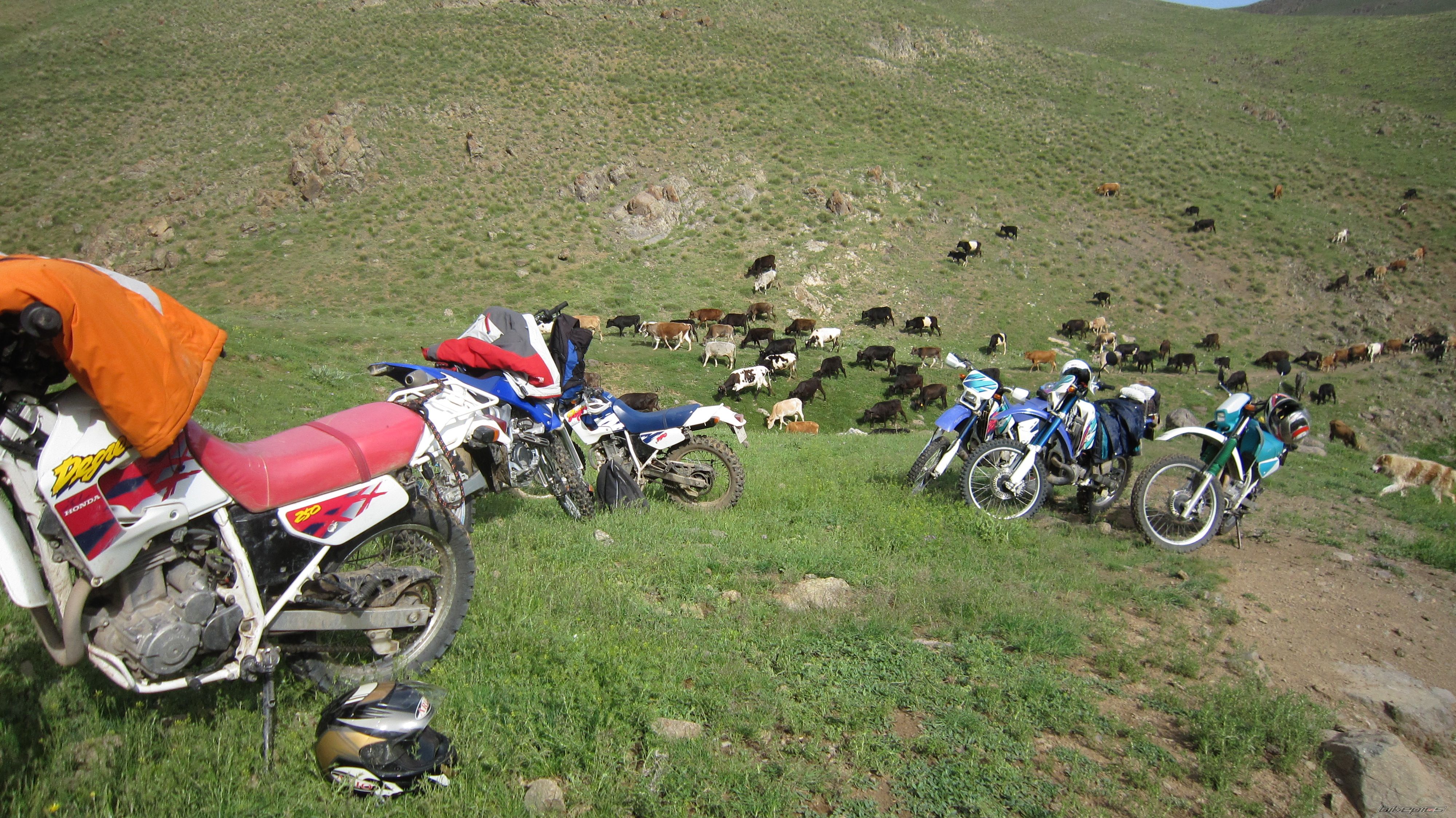 Photo 2364260