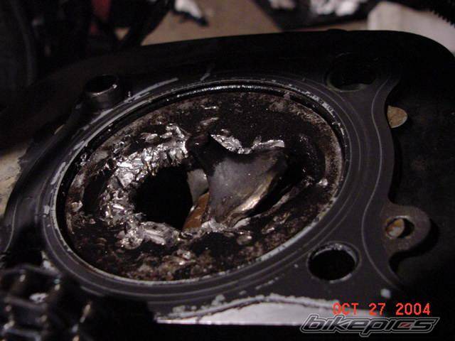 Photo 236427