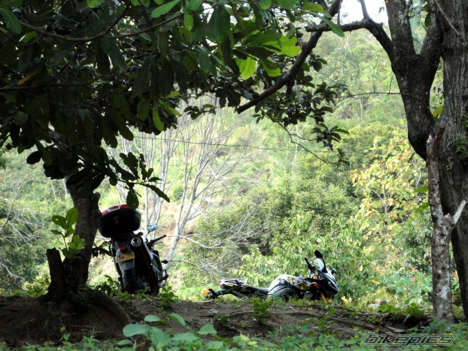 Bike Photo 2364301