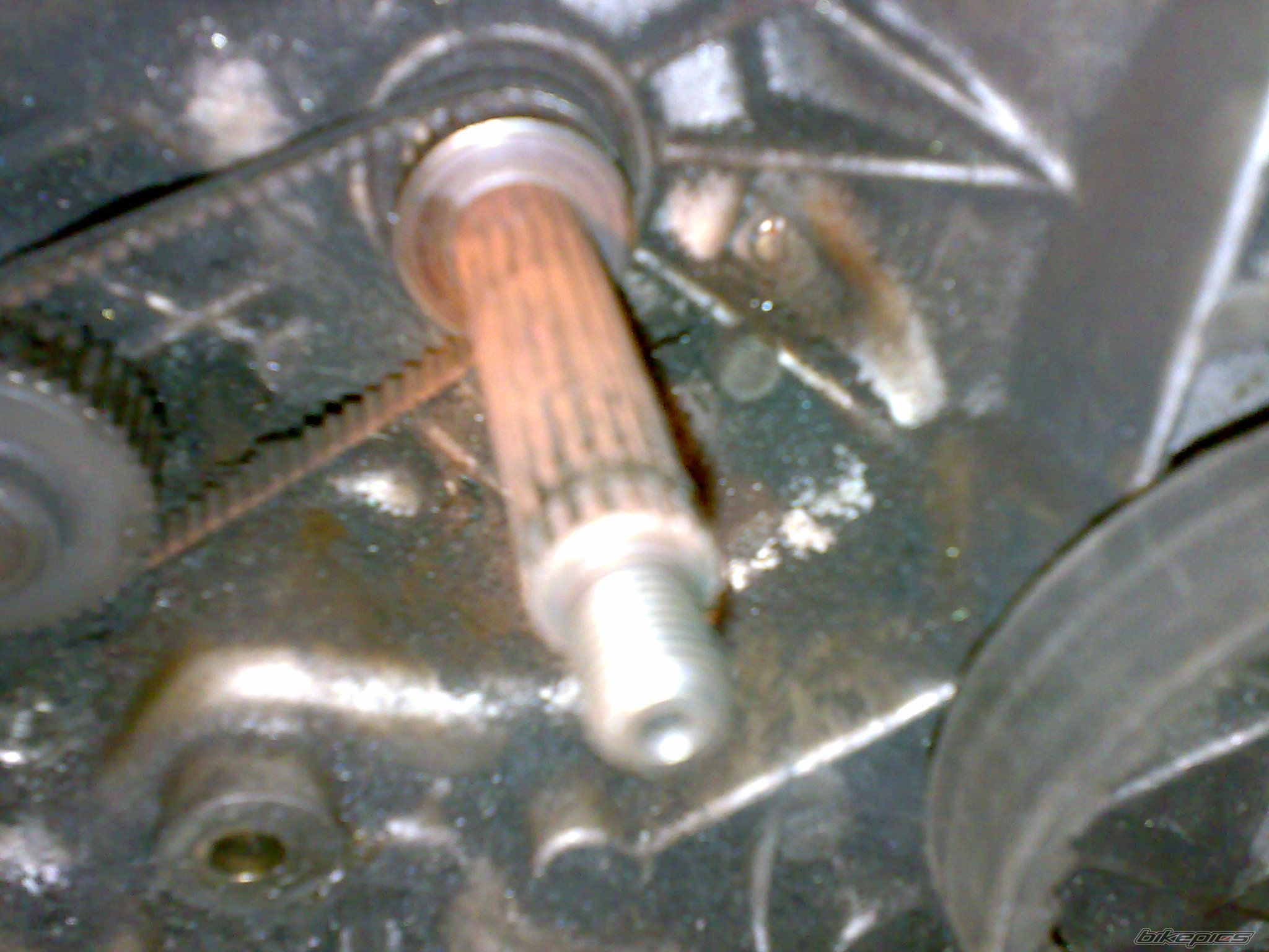 Photo 2364433
