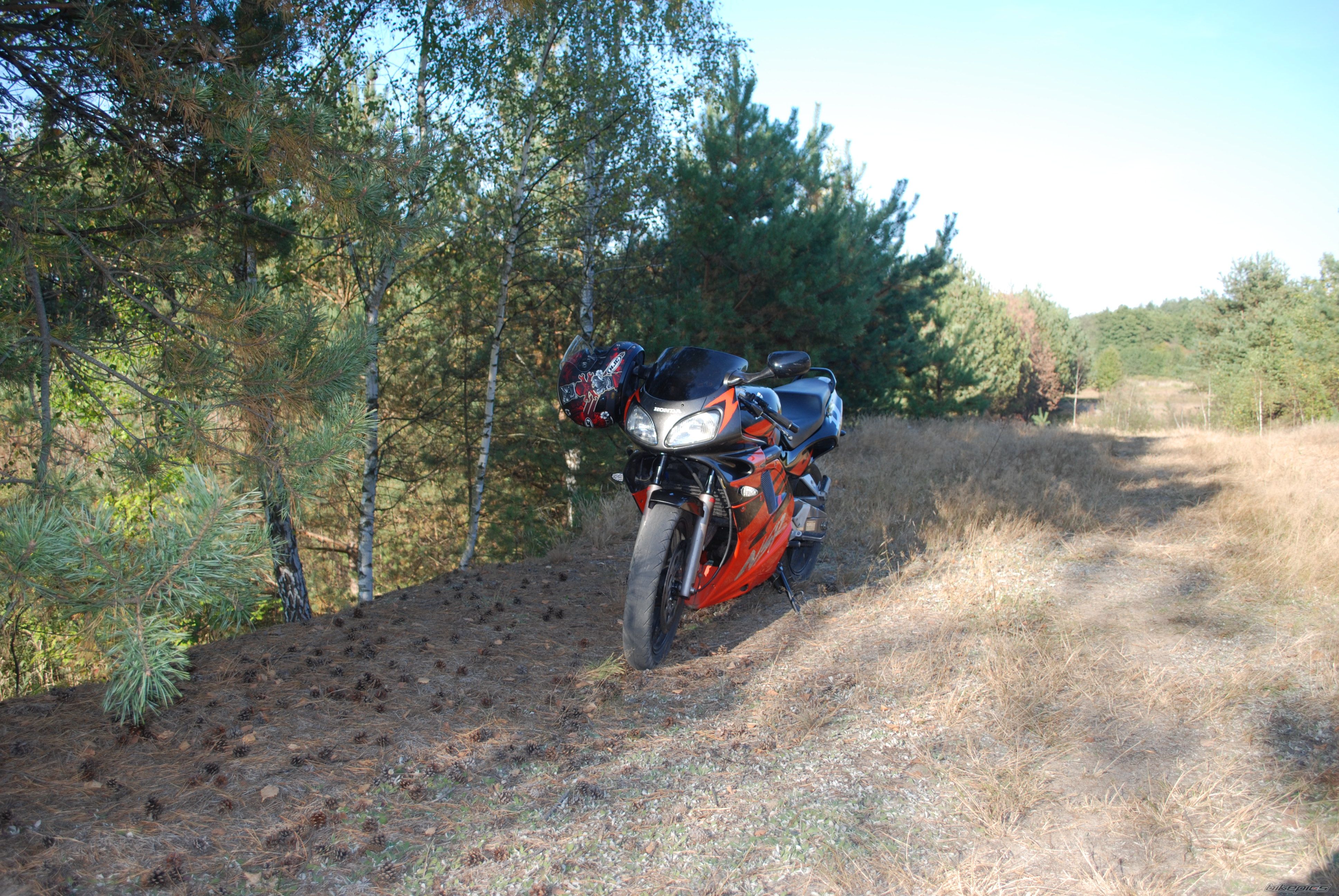 Photo 2364458