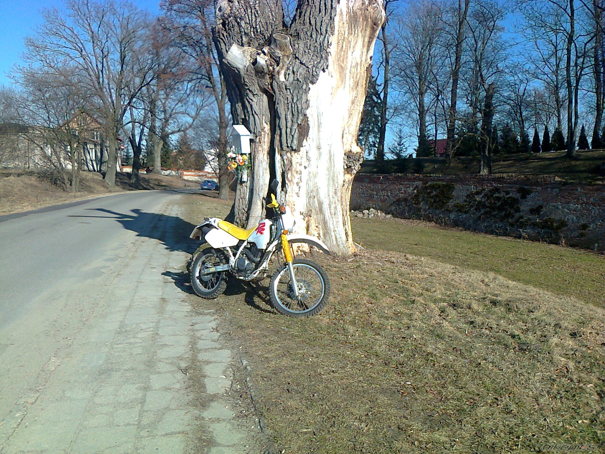 Photo 2364519