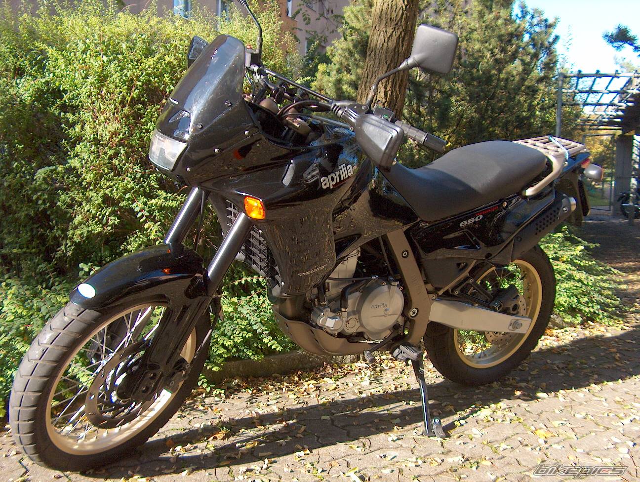 Photo 236453