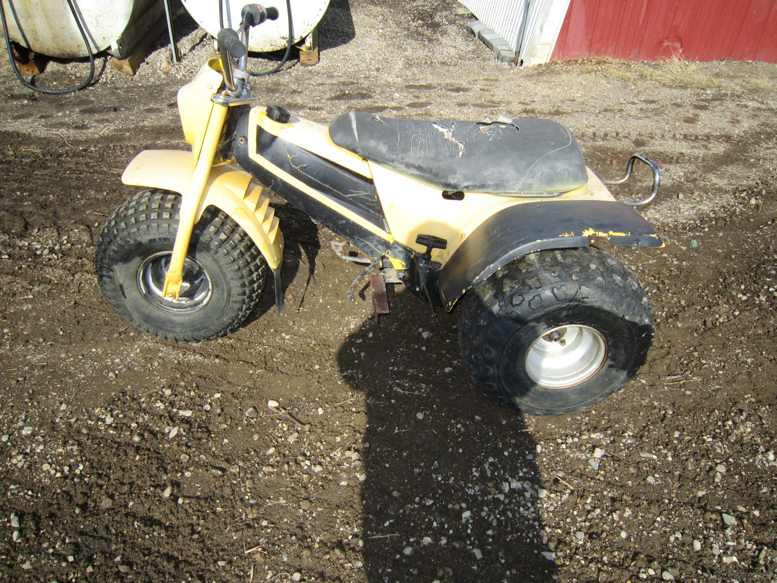 Photo 2364702