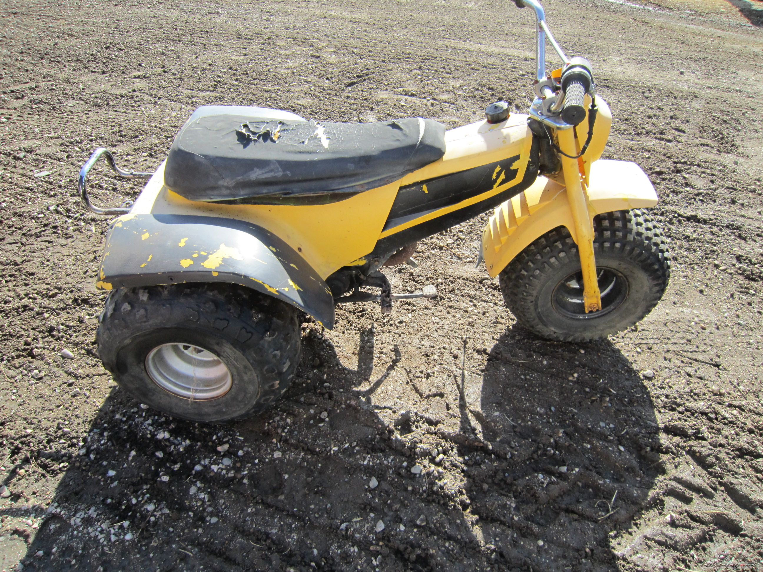 Photo 2364704