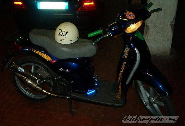 Photo 236472