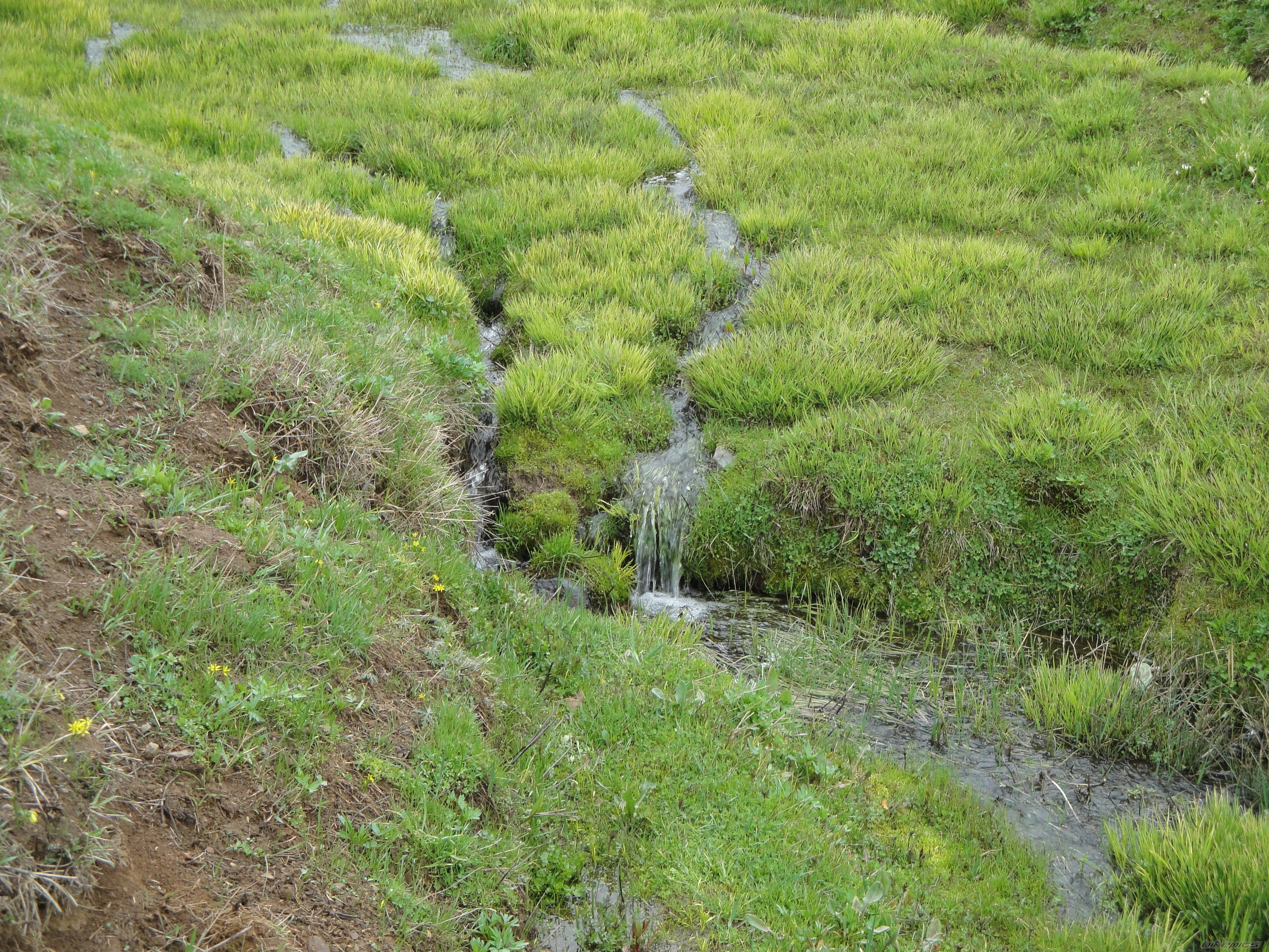 Photo 2364819