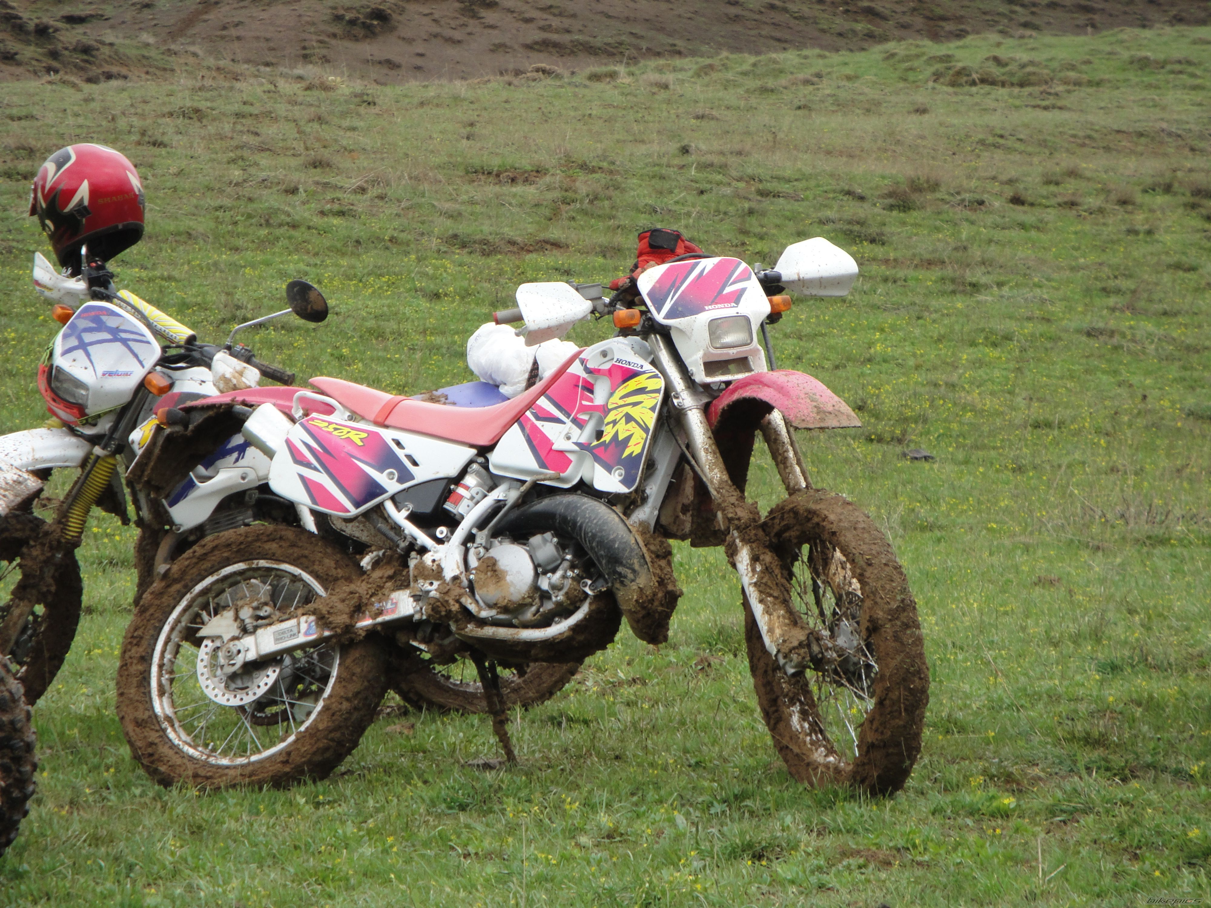 Photo 2364821